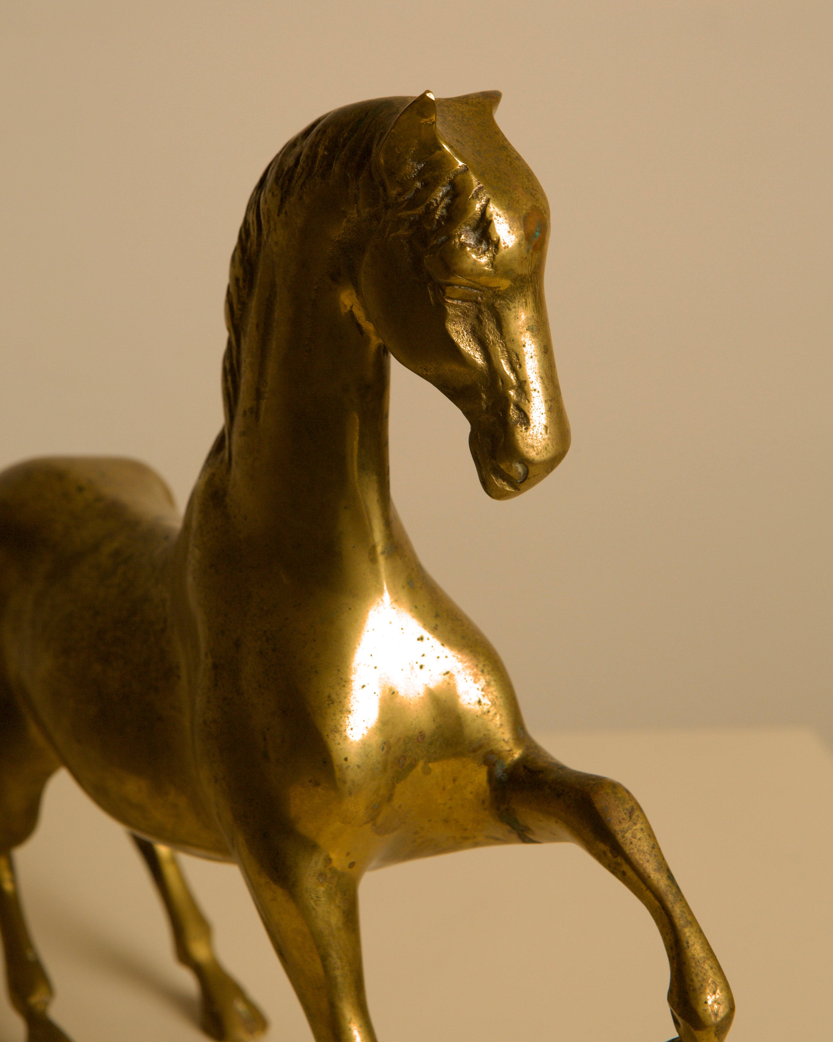 Golden brass horse sculpture profile showing detailed mane texture