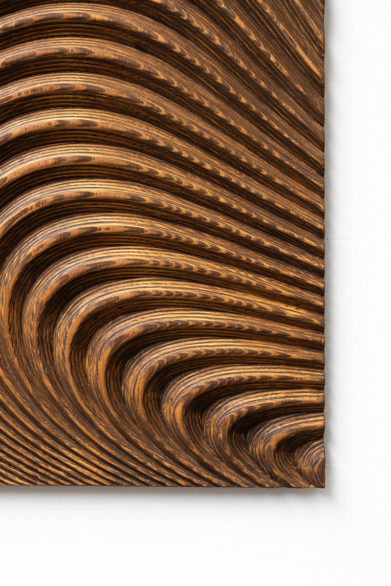 wall sculpture organic — close-up of textured wood surface