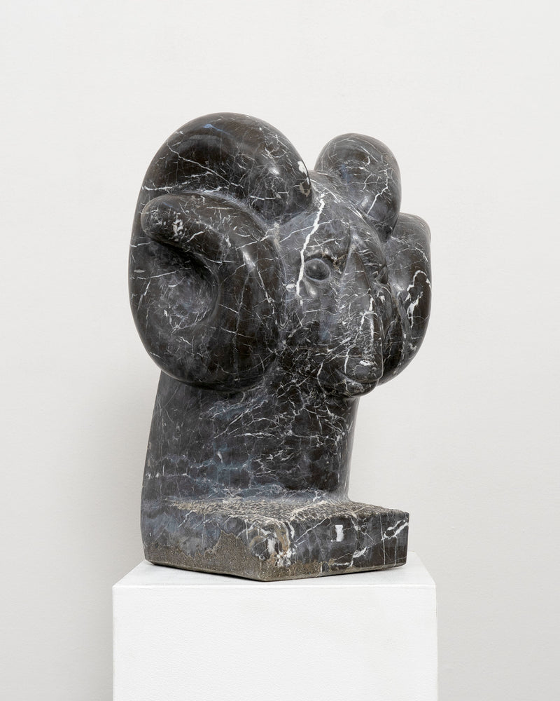 Large Vintage Marble Rams Head Sculpture — close-up of dark marble texture
