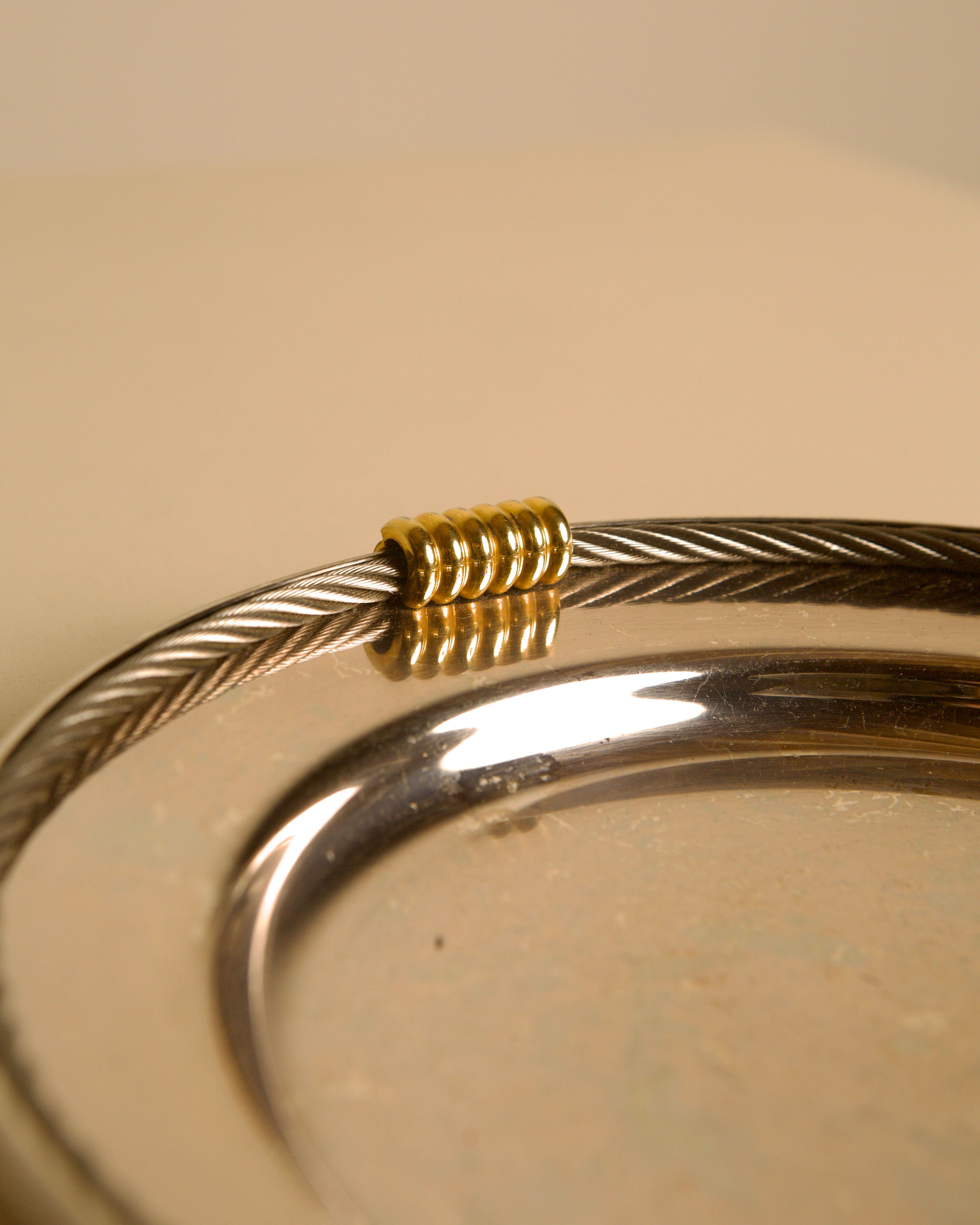 Silver-plated and Brass Vide-poche by Fred, 1970s — close-up of brass detail on silver rim