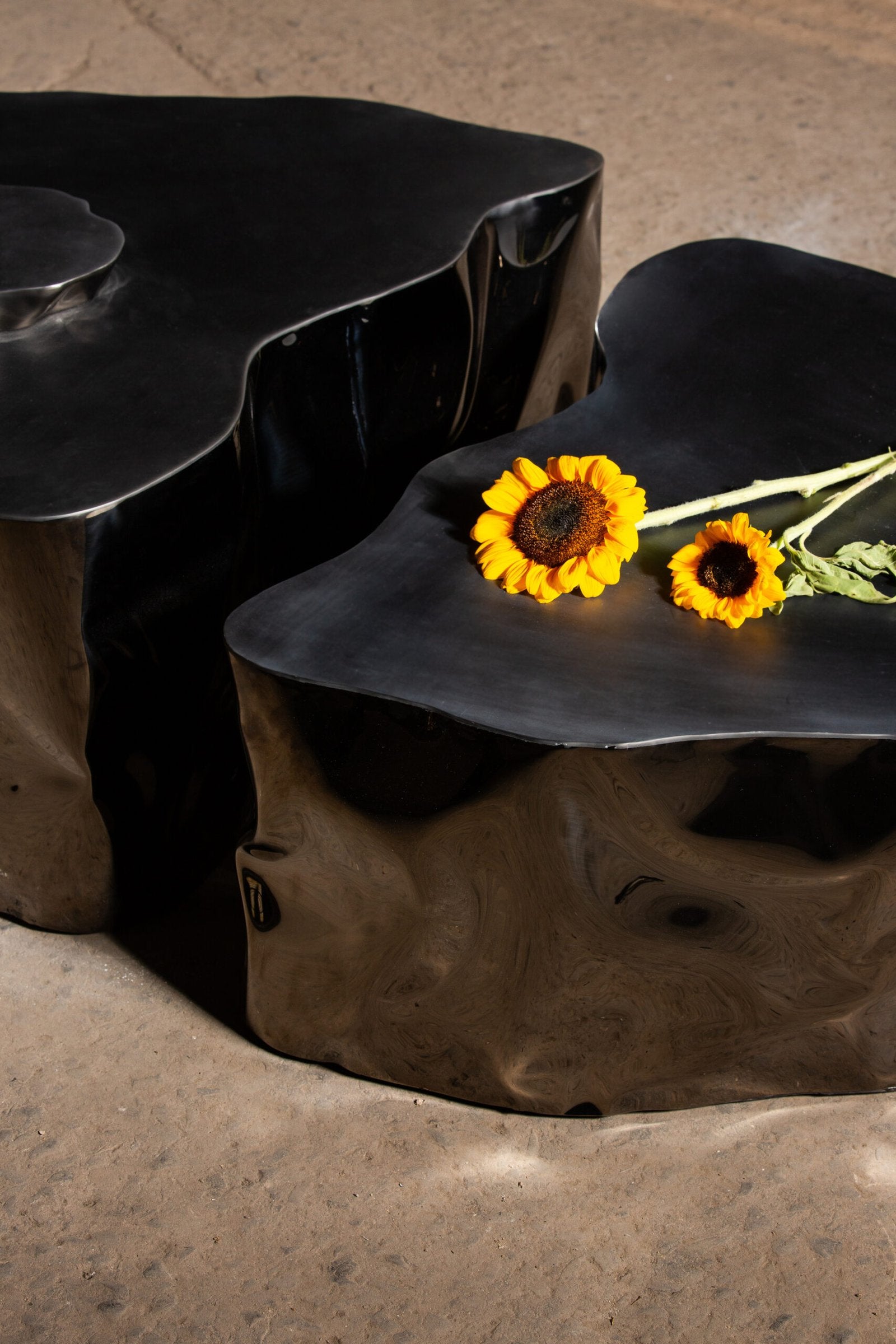 Stainless Steel Coffee Table - Grand Canyon by Nitush Aroosh — close-up