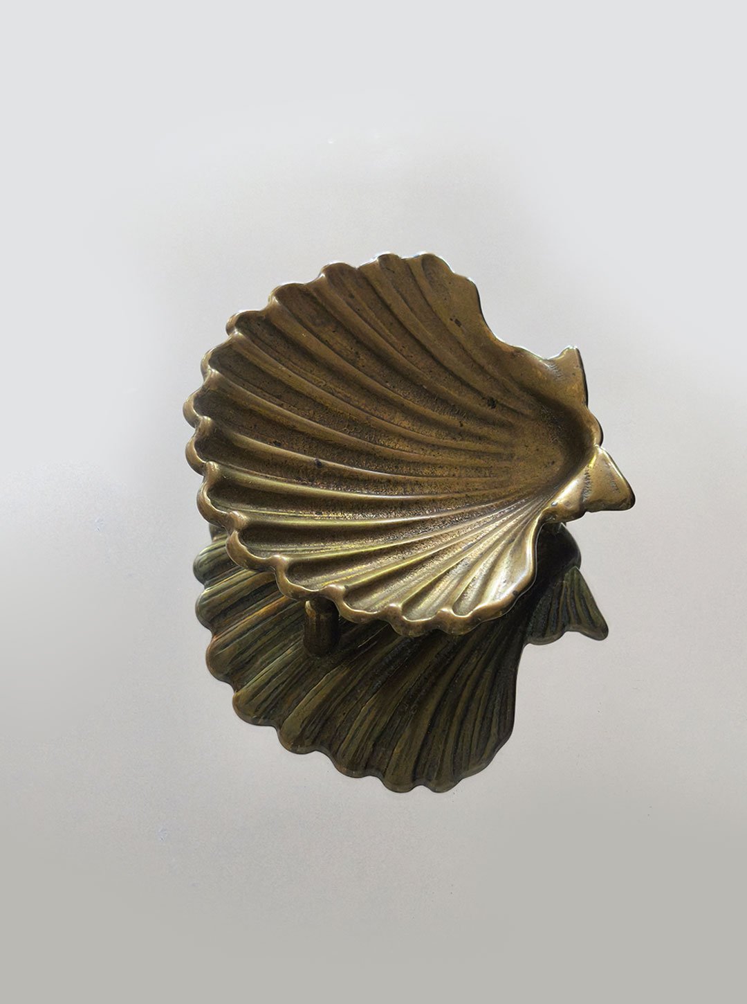 Shell Brass Vide-Poche — lifestyle setting