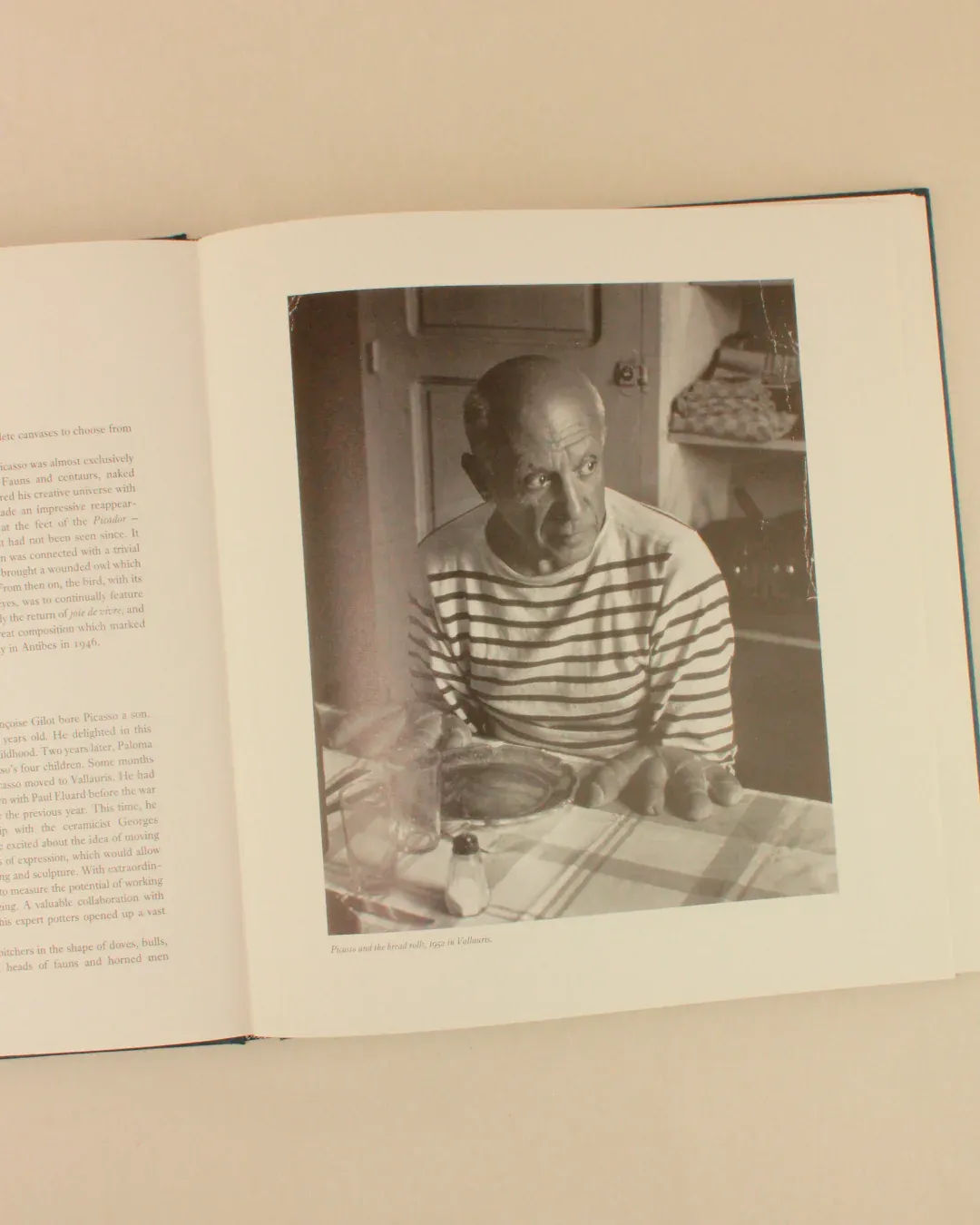 PICASSO 'THE MASTERWORKS' — back view of open art book on table