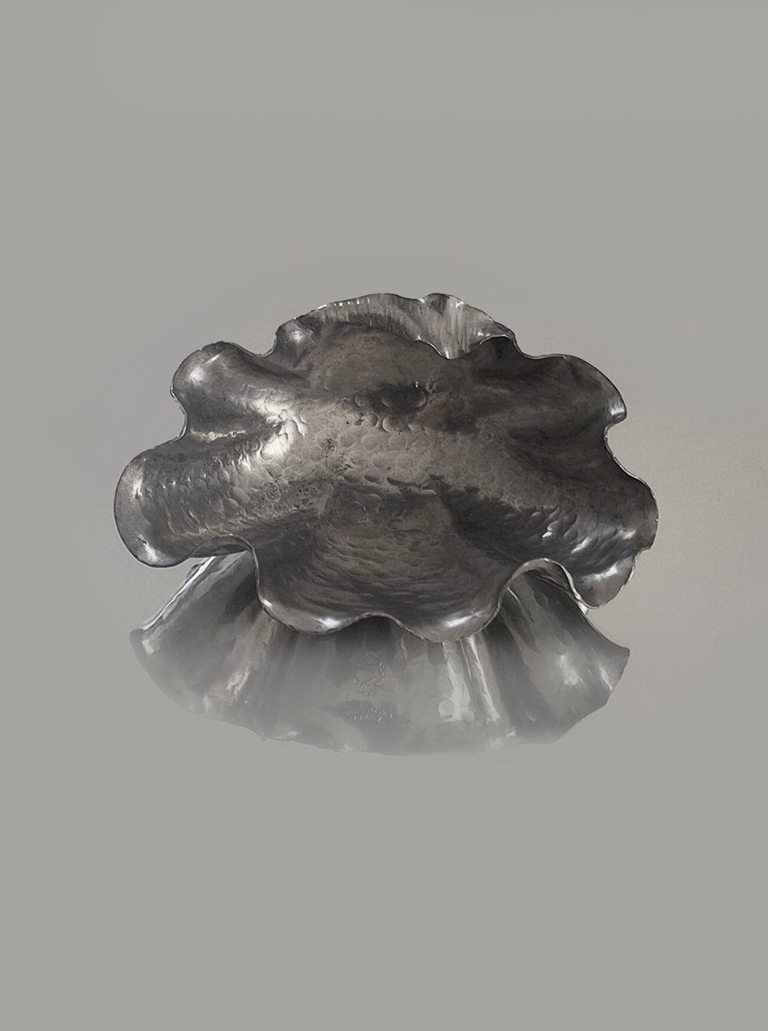 Pewter shell decorative bowl reflecting on glossy surface