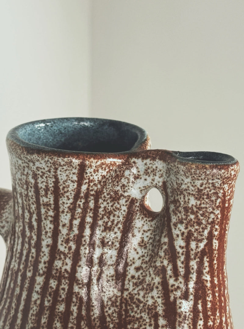 Zoomorphic Pitcher by the Accolay potters — close-up of textured ceramic surface