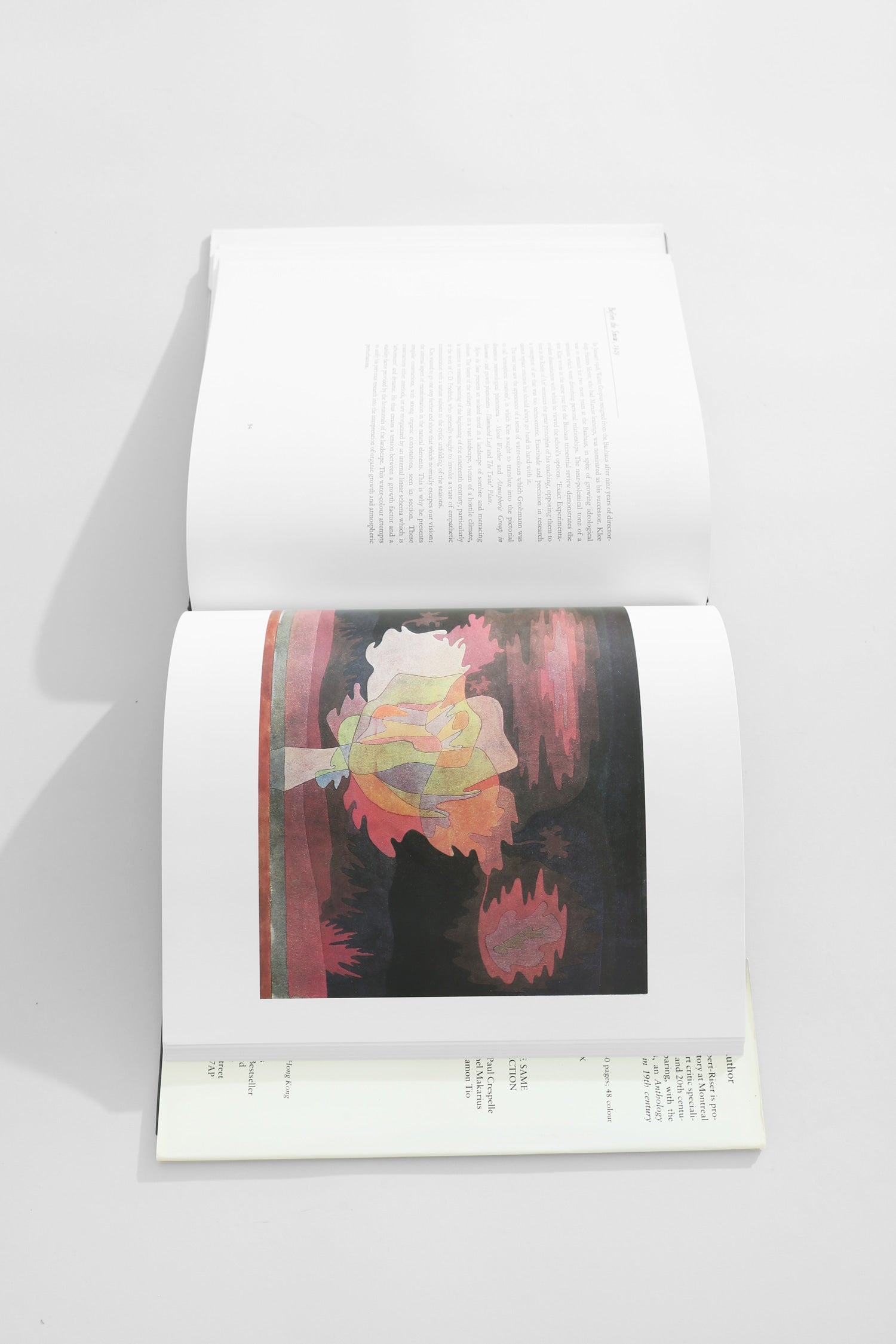 Paul Klee Book — close-up