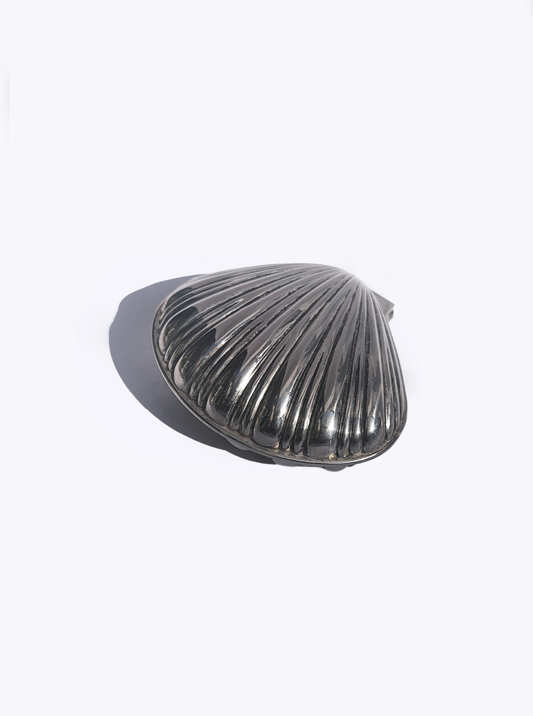 Shell Box by Les Objoies | The Oblist