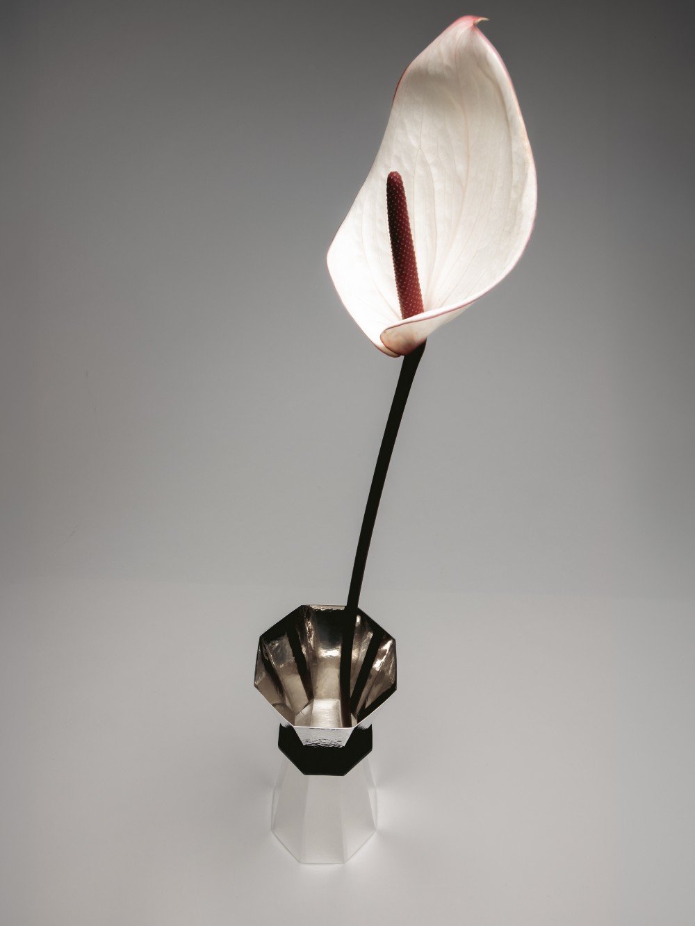 Silver Plated Pitcher — close-up of polished surface with flower