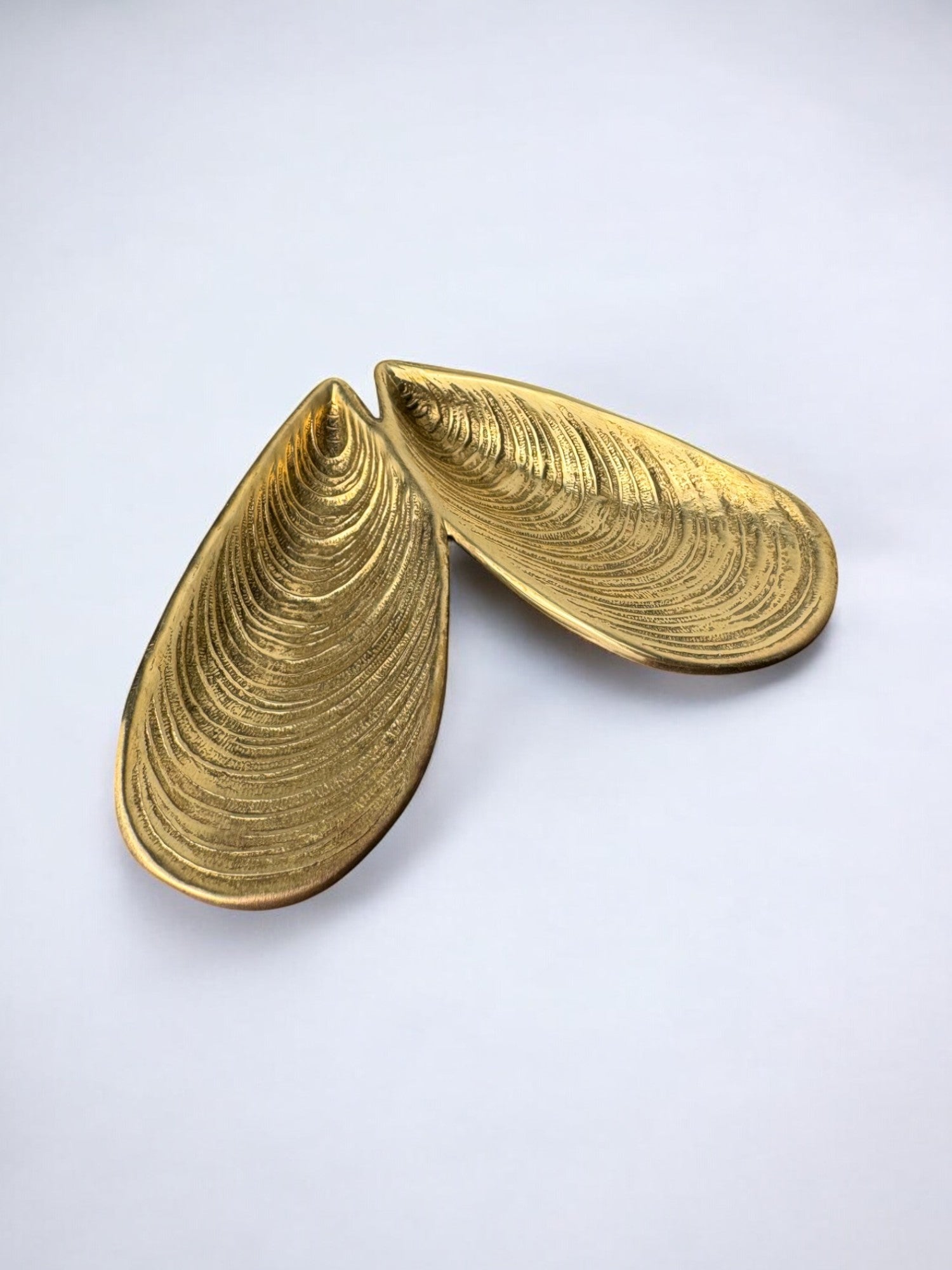 Mussel Shell Vide-Poches in Bronze, Italy, 1970's — angled view highlighting textured bronze finish