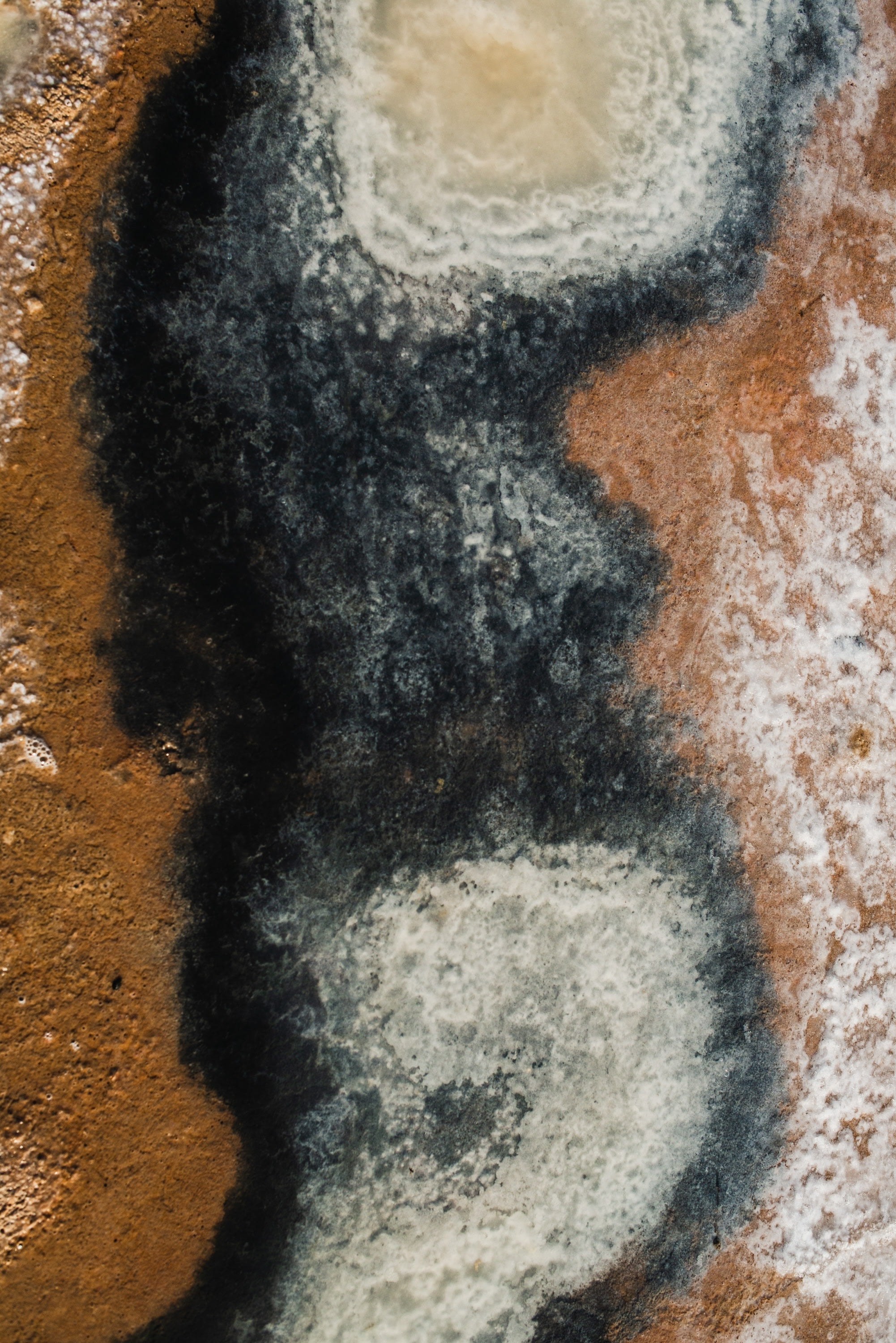 Ses Salines No. 12 — Fine Art Photograph — detail view
