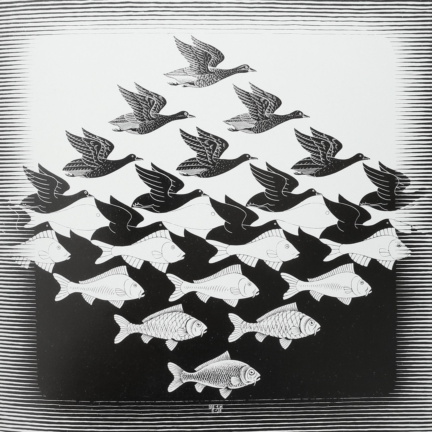 M.C. Escher Book — black and white illustration of birds and fish