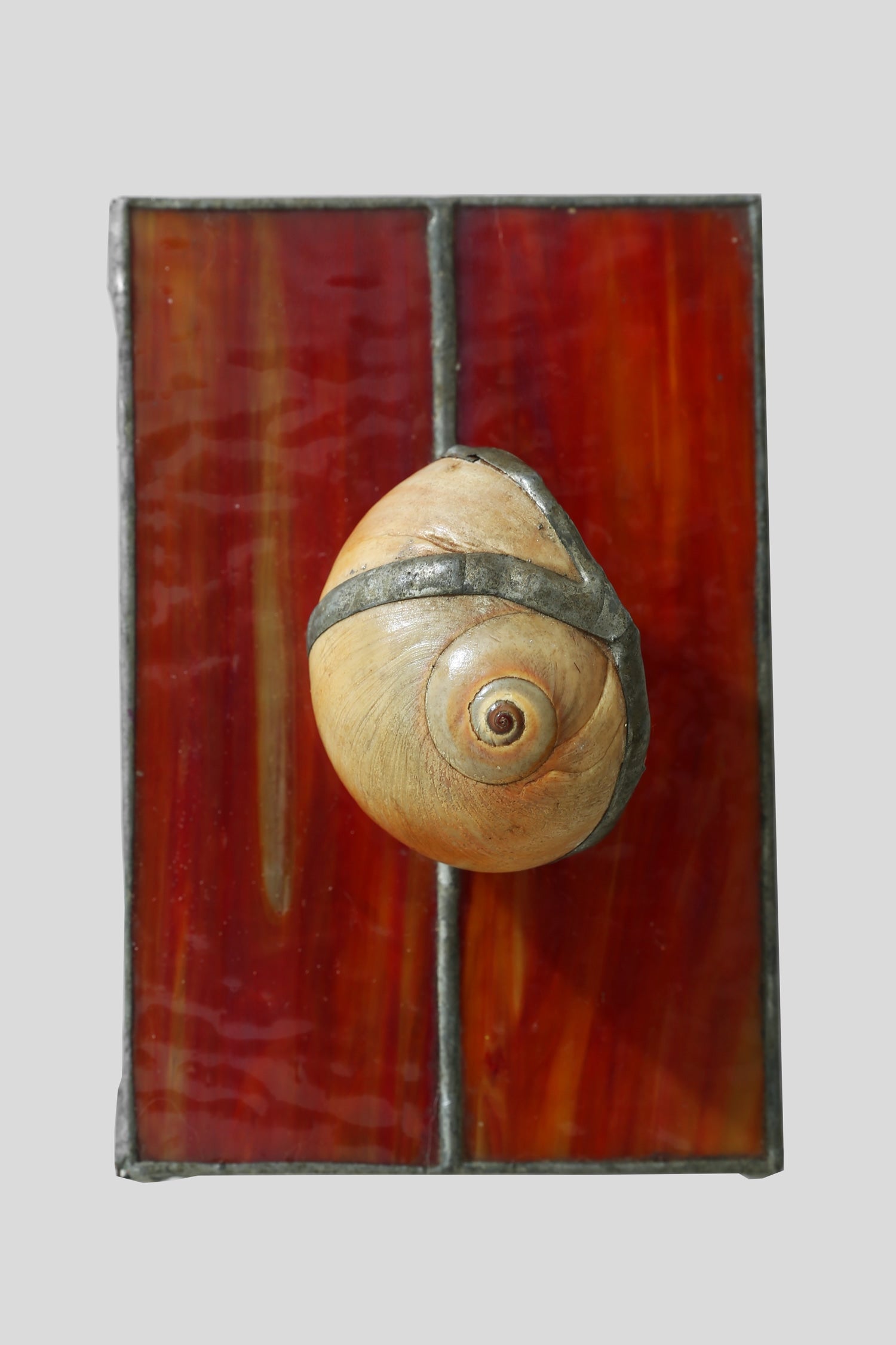 Spiral Shell Glass Jewelry Box — top view with amber glass and shell detail