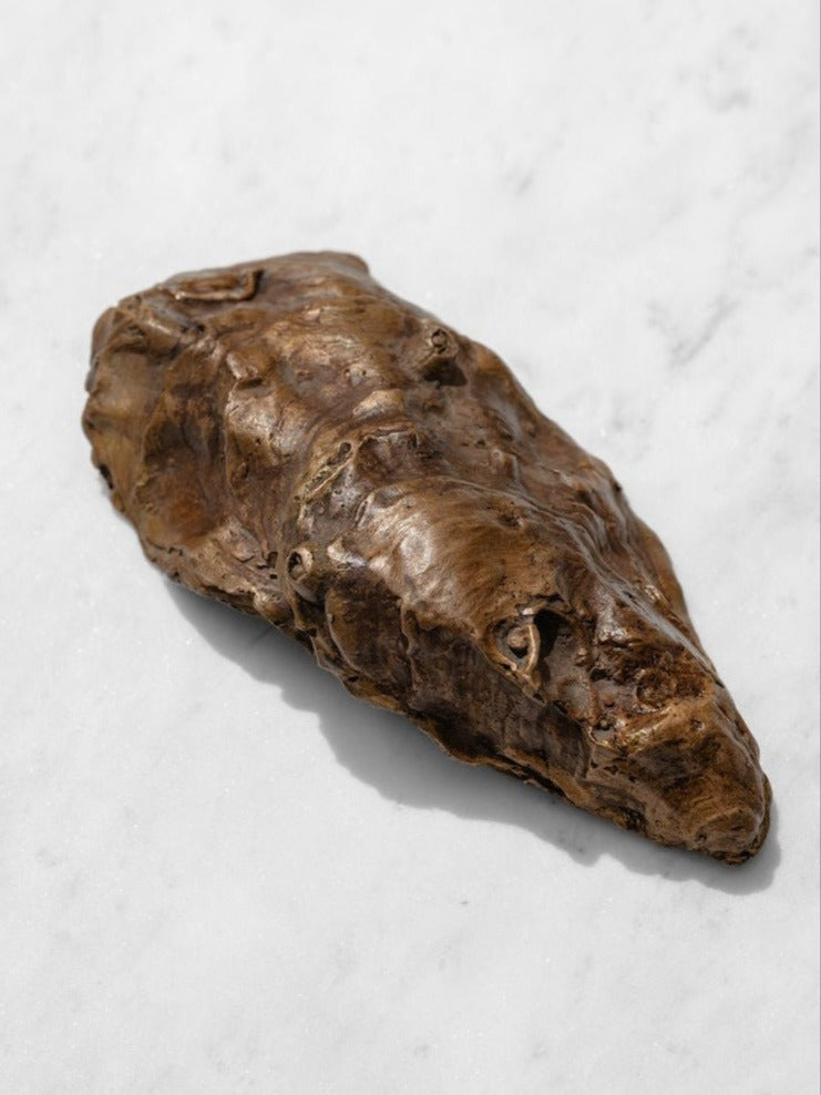 Bronze Oyster Sculptures