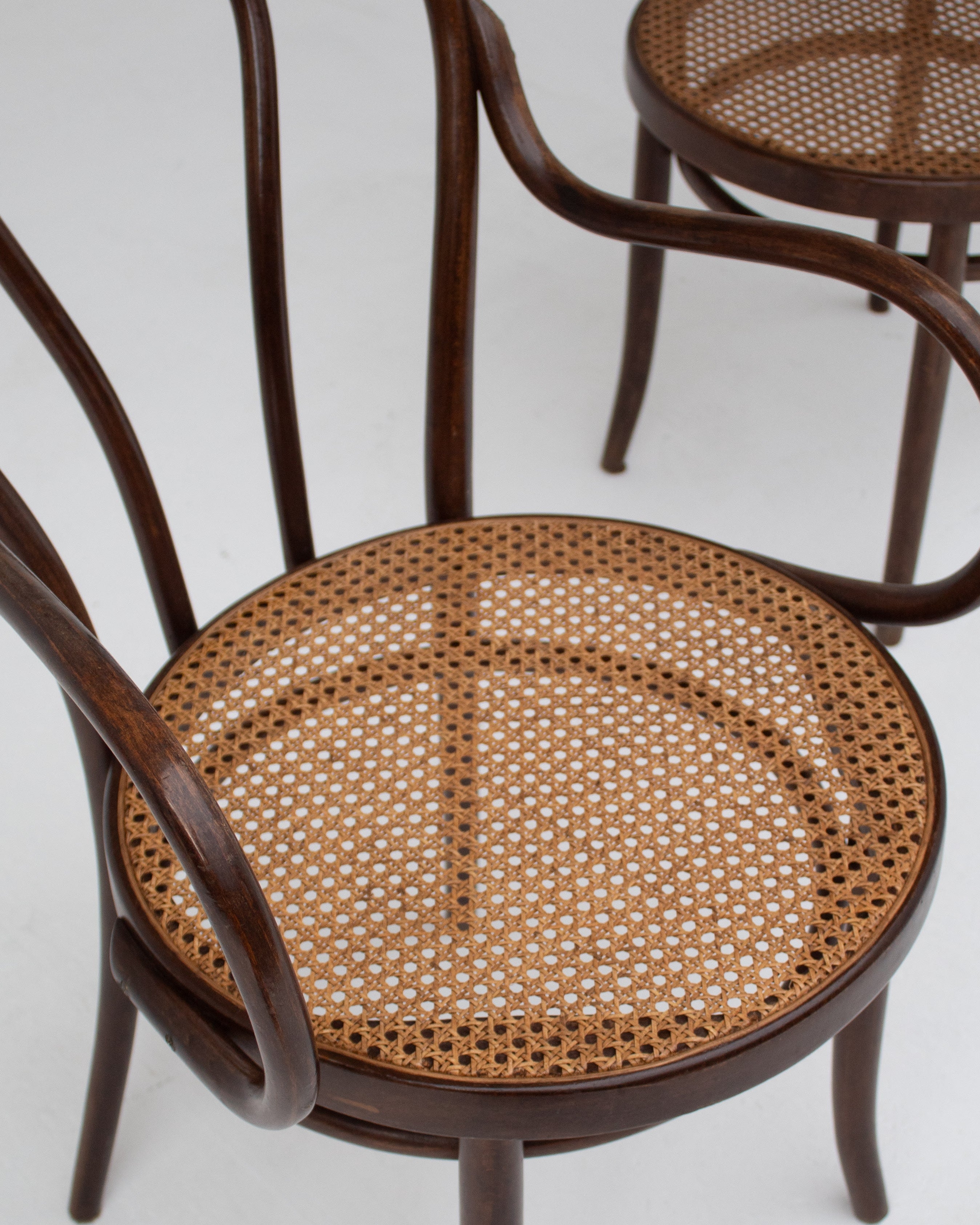 Set of Chair in Wood and Beech