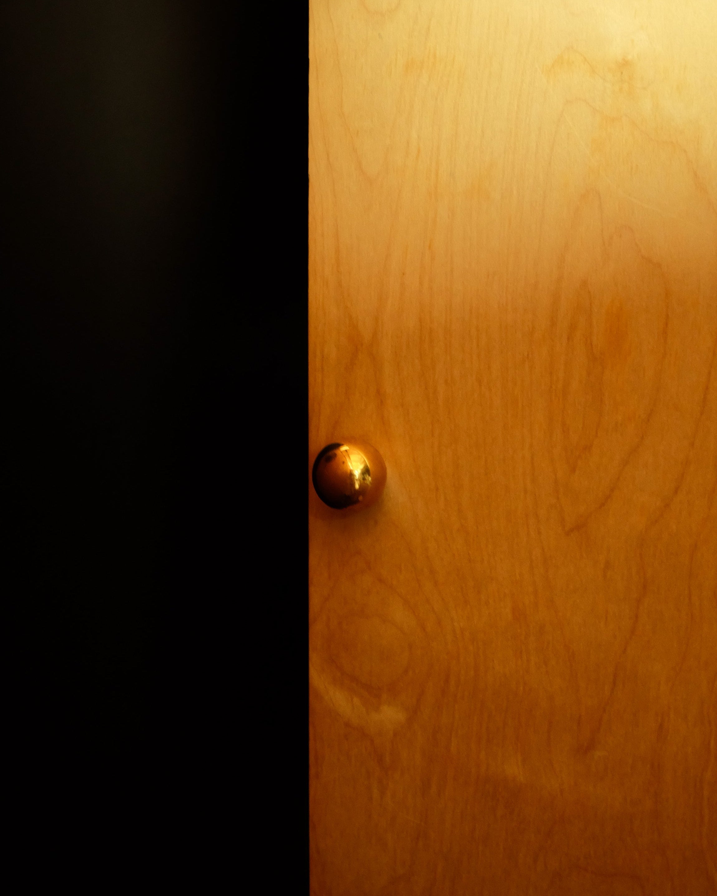 CERCLE Cabinet Knob Large — close-up of brass knob on wood door