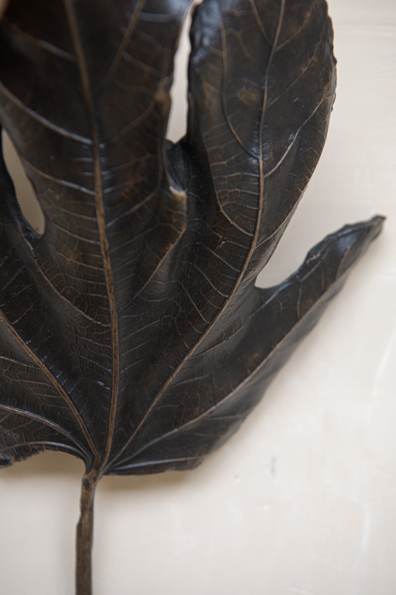 Bronze Fig Leaf Wall Light