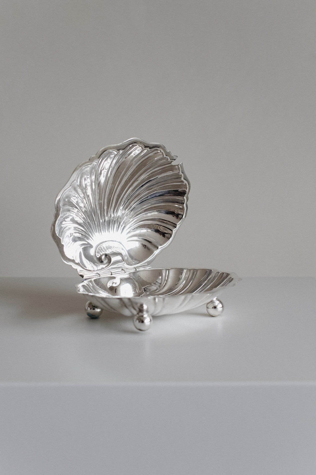 Large Shell Shaped Dish — angled view on white surface