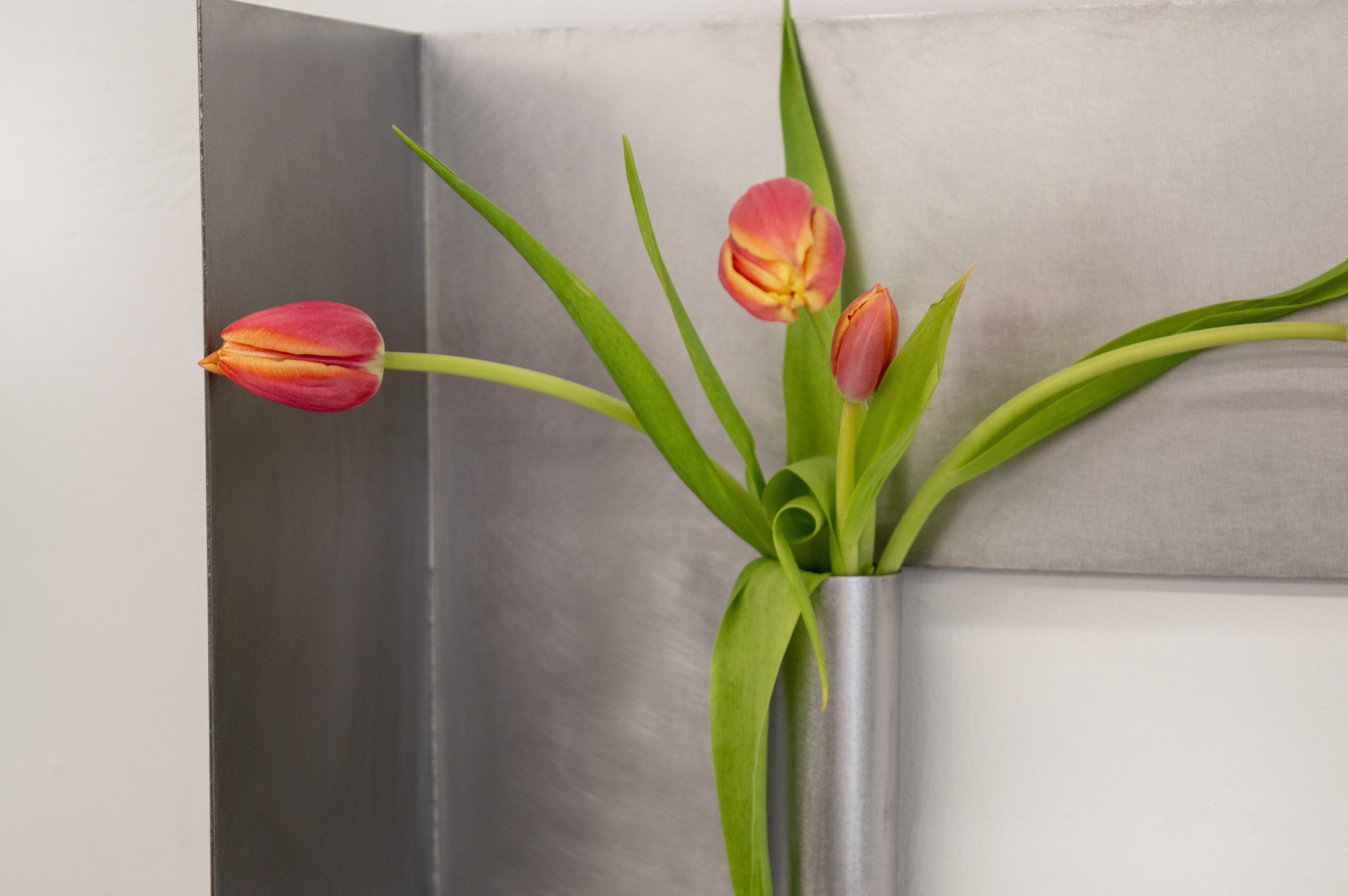 Steel Wall-Mounted Vase_ Corner Angle