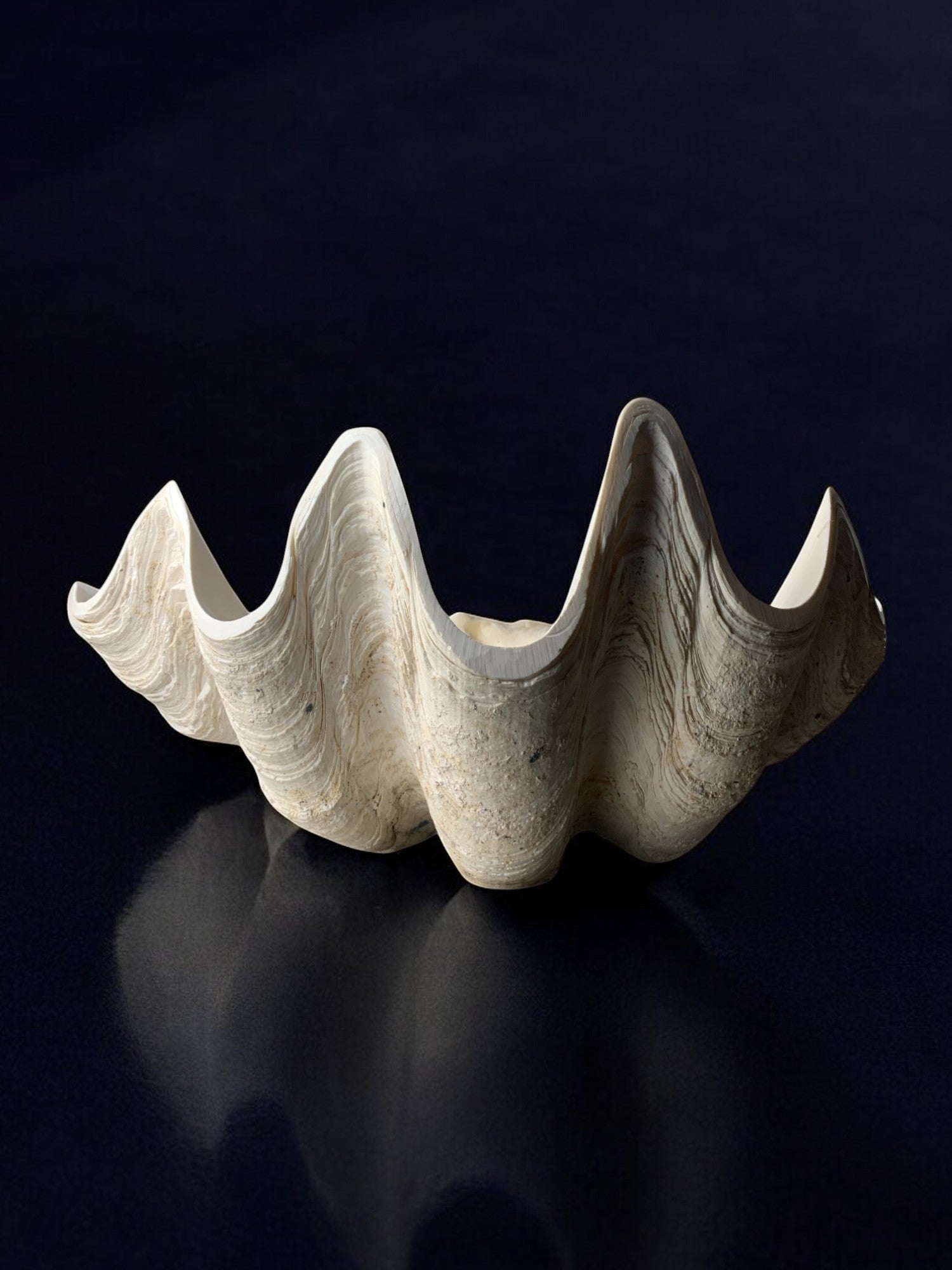 XL Shell Vide-poche in Plaster, Italy, 1970