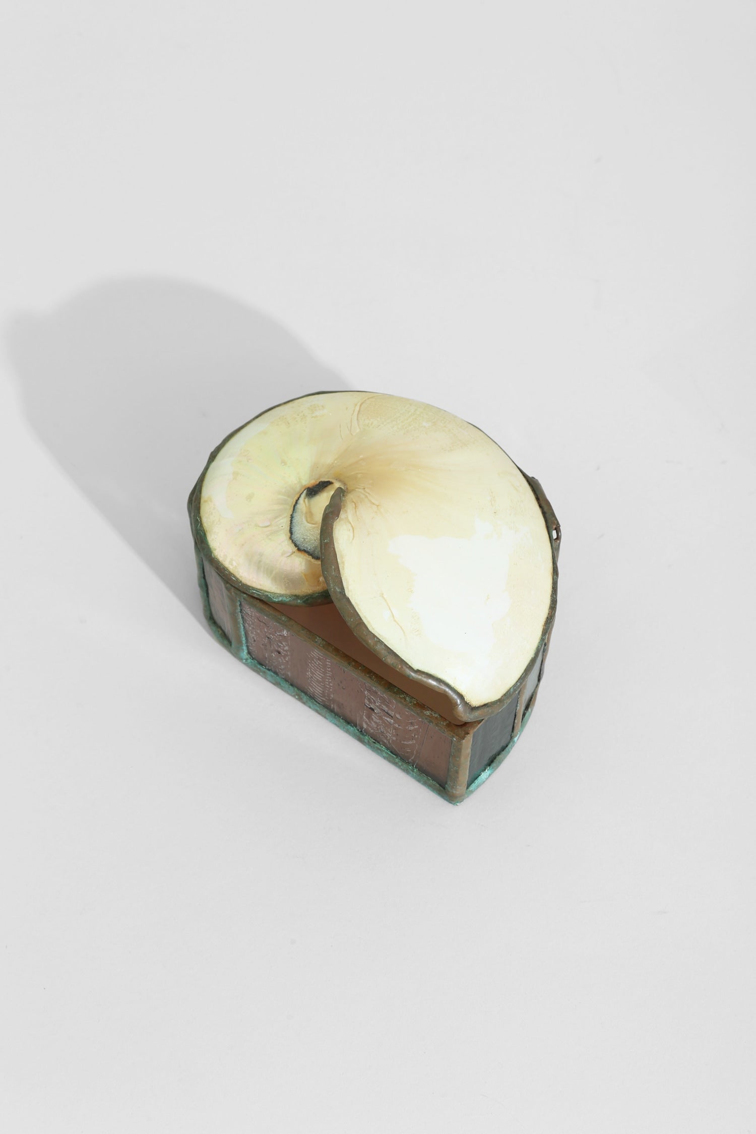 Nautilus Shell Jewelry Box — side angle