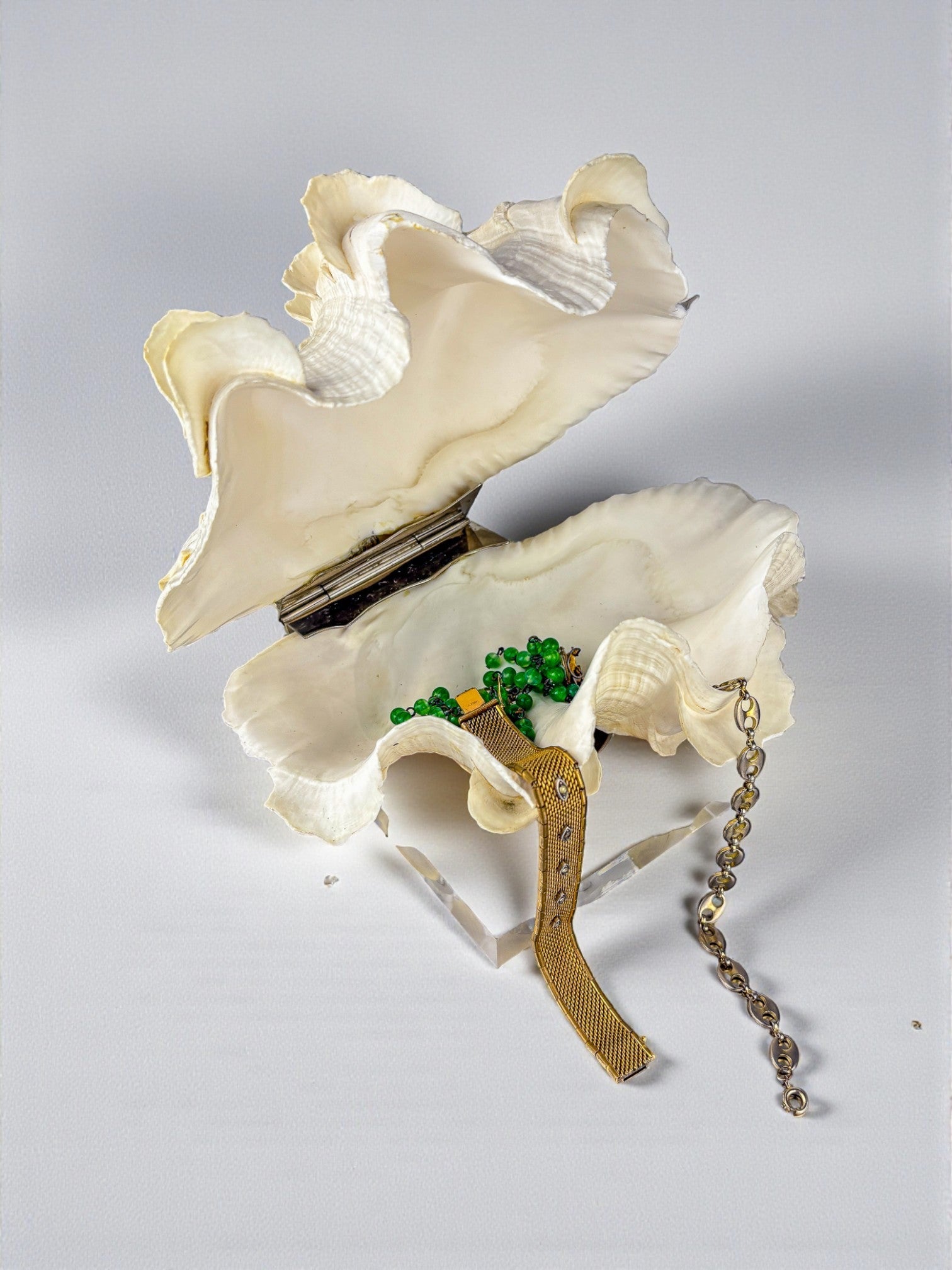 Large Tridacna Shell and lucite base vanity box, Spain, 1980's — side angle