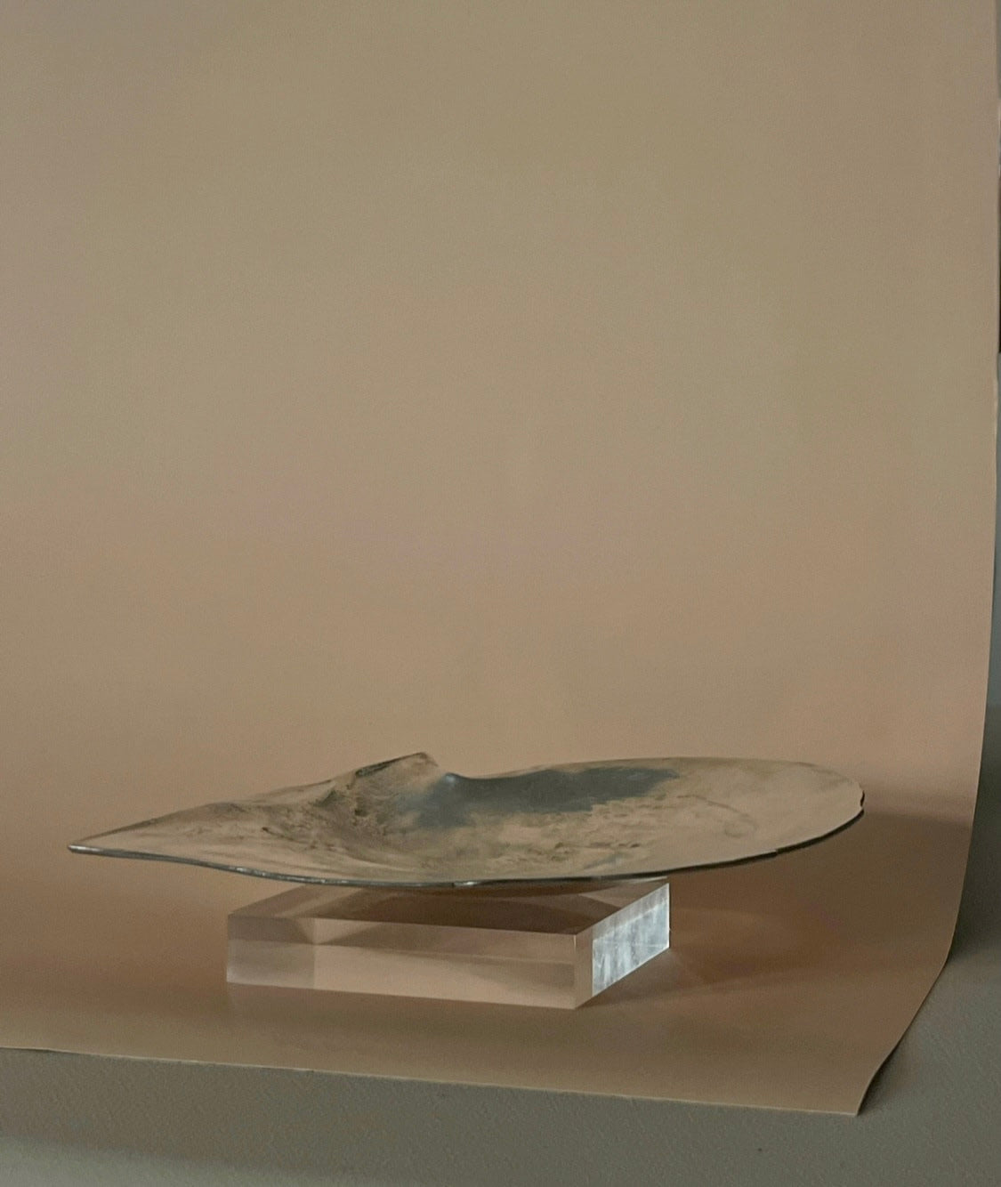 Sculpture de Coquille d'Huître en Argent