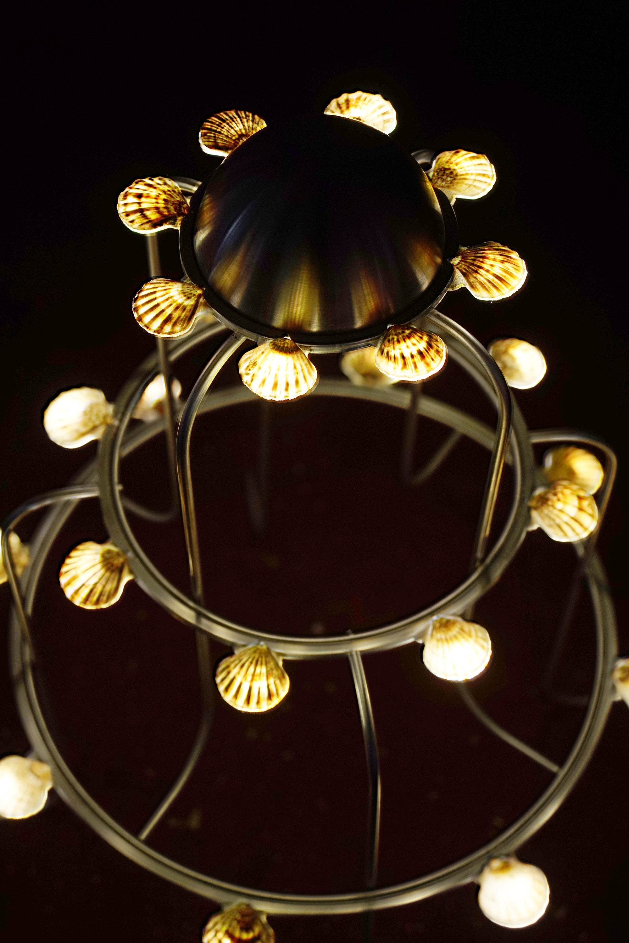 The Lamp With Shells — top view of metal frame with shell lights