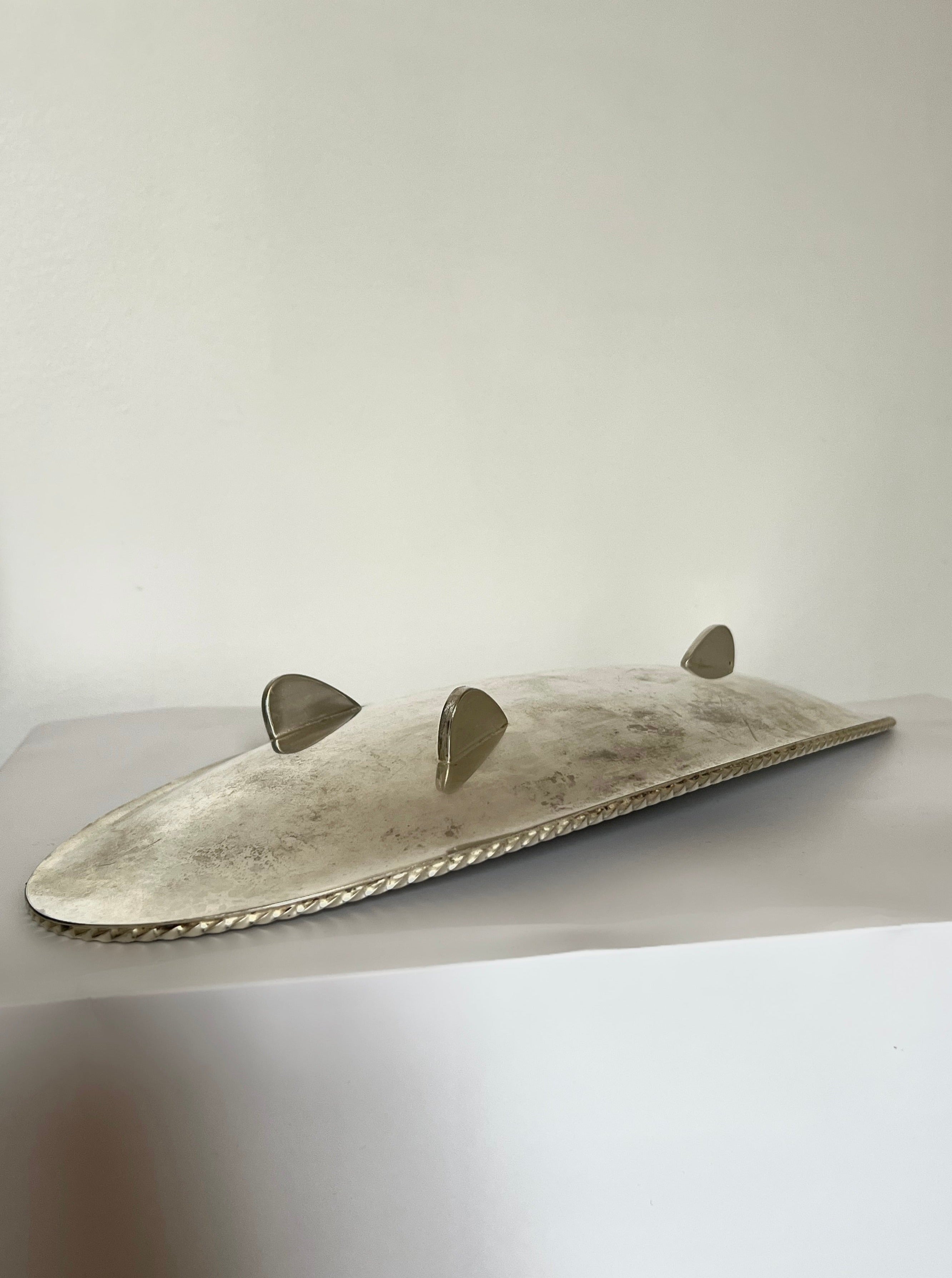 Long Silver Serving Dish