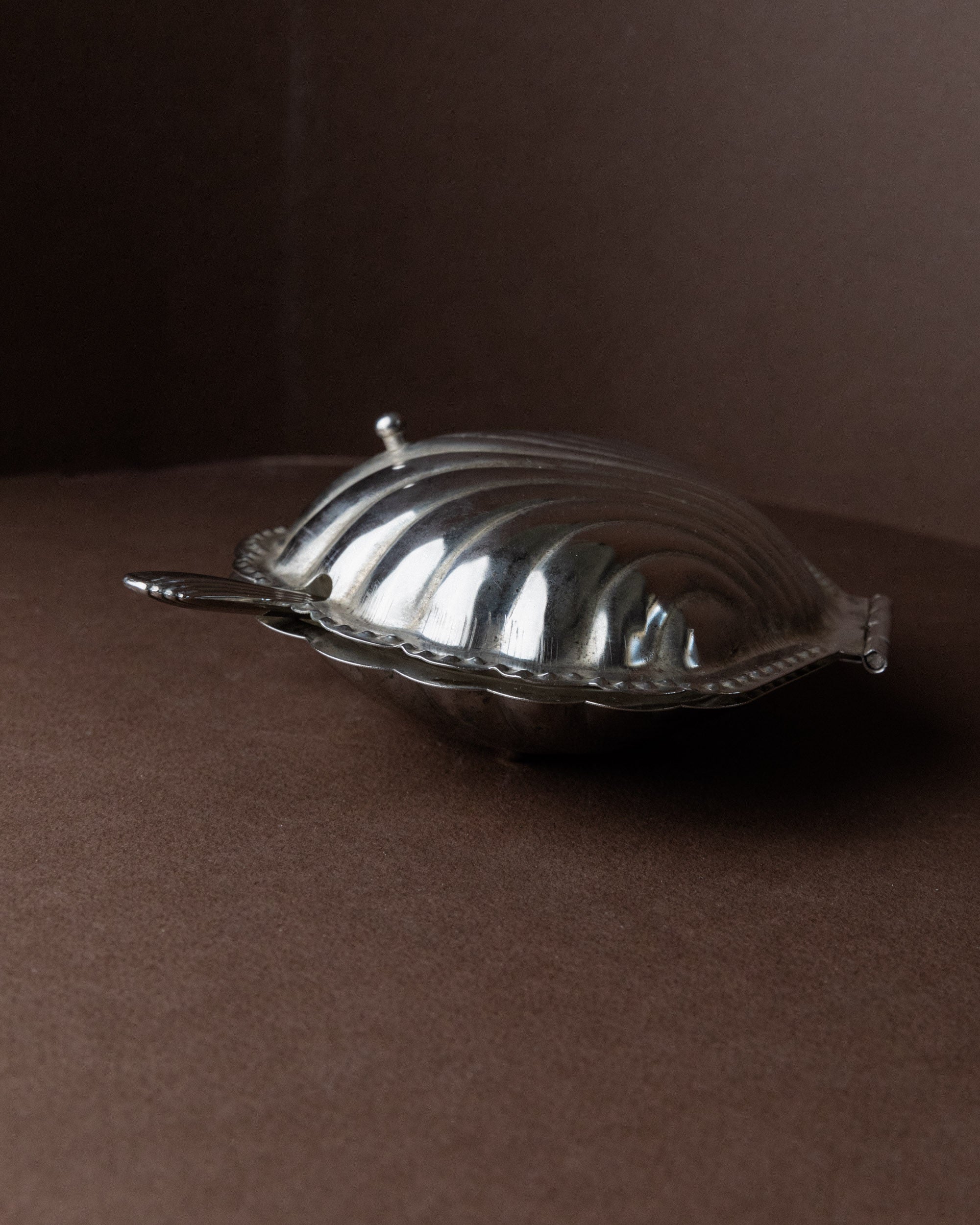 Shell-Shaped Sugar Bowl, Italy 1960s — side view of polished silver surface