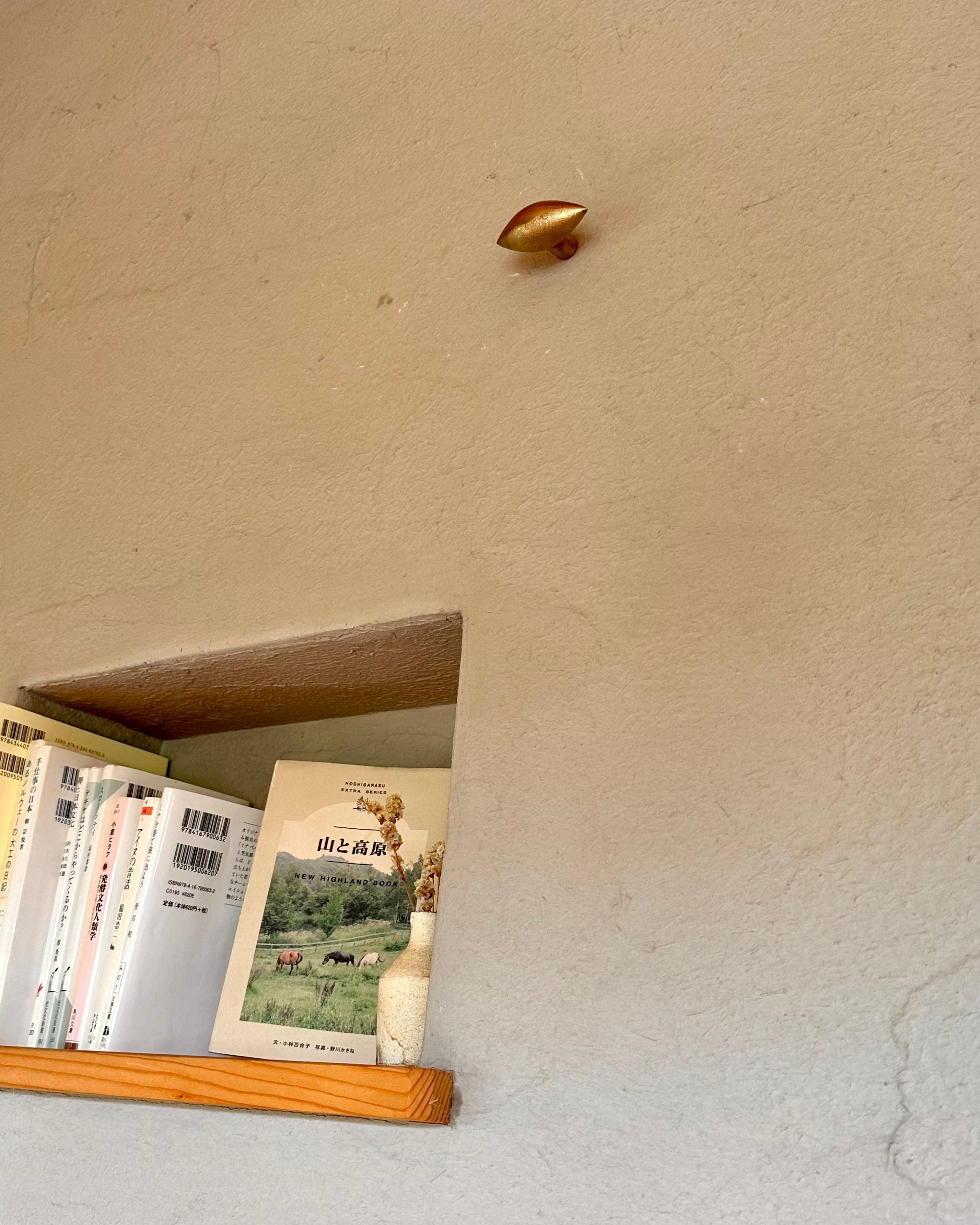 GOOD EYE Cabinet Knob/Wall Hook — top view on textured wall with books