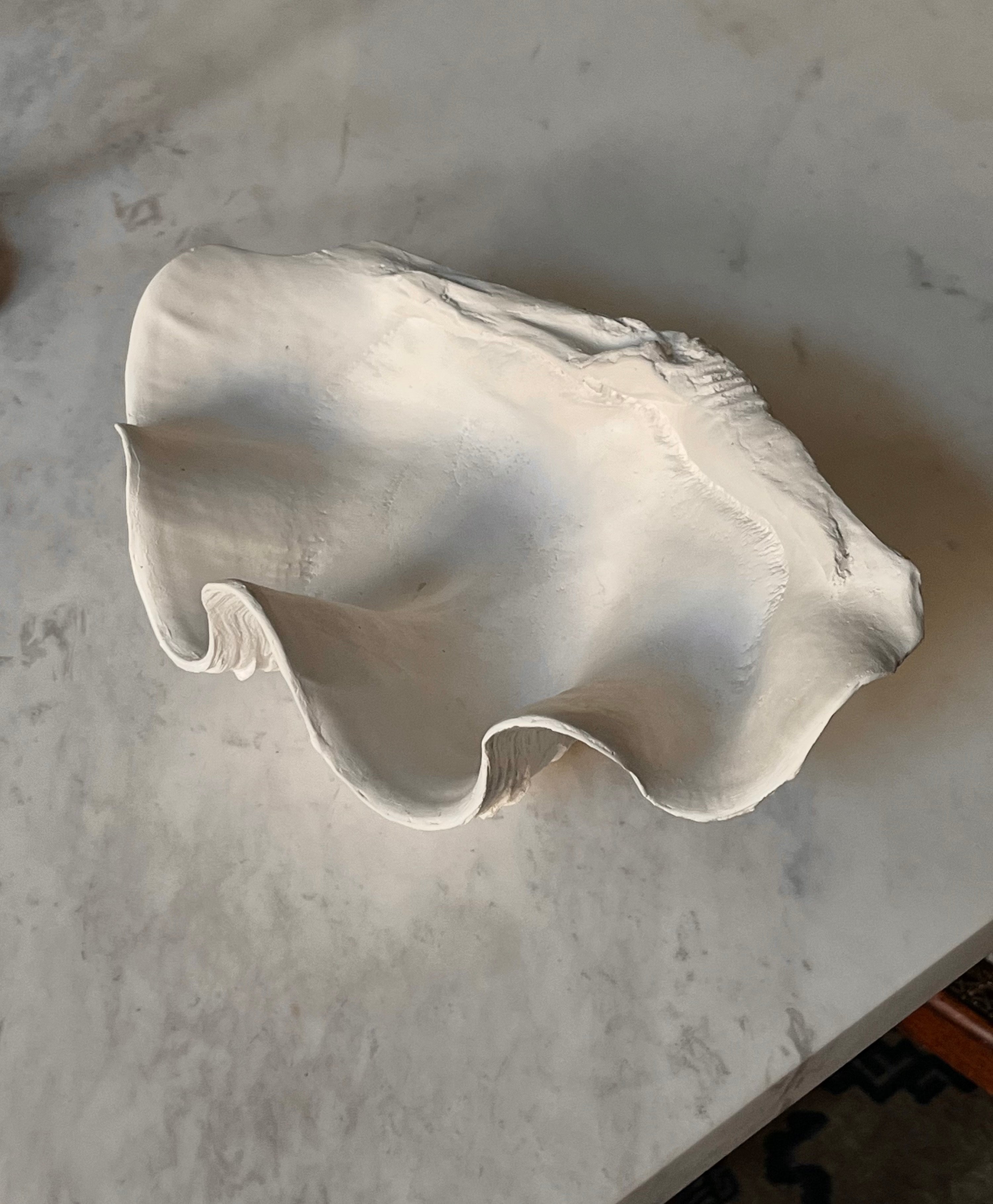The Médecine Clam Shell Bowl, a large handmade white plaster sculpture with wavy edges, rests on a marbled surface and casts soft shadows as an eye-catching decorative statement piece.