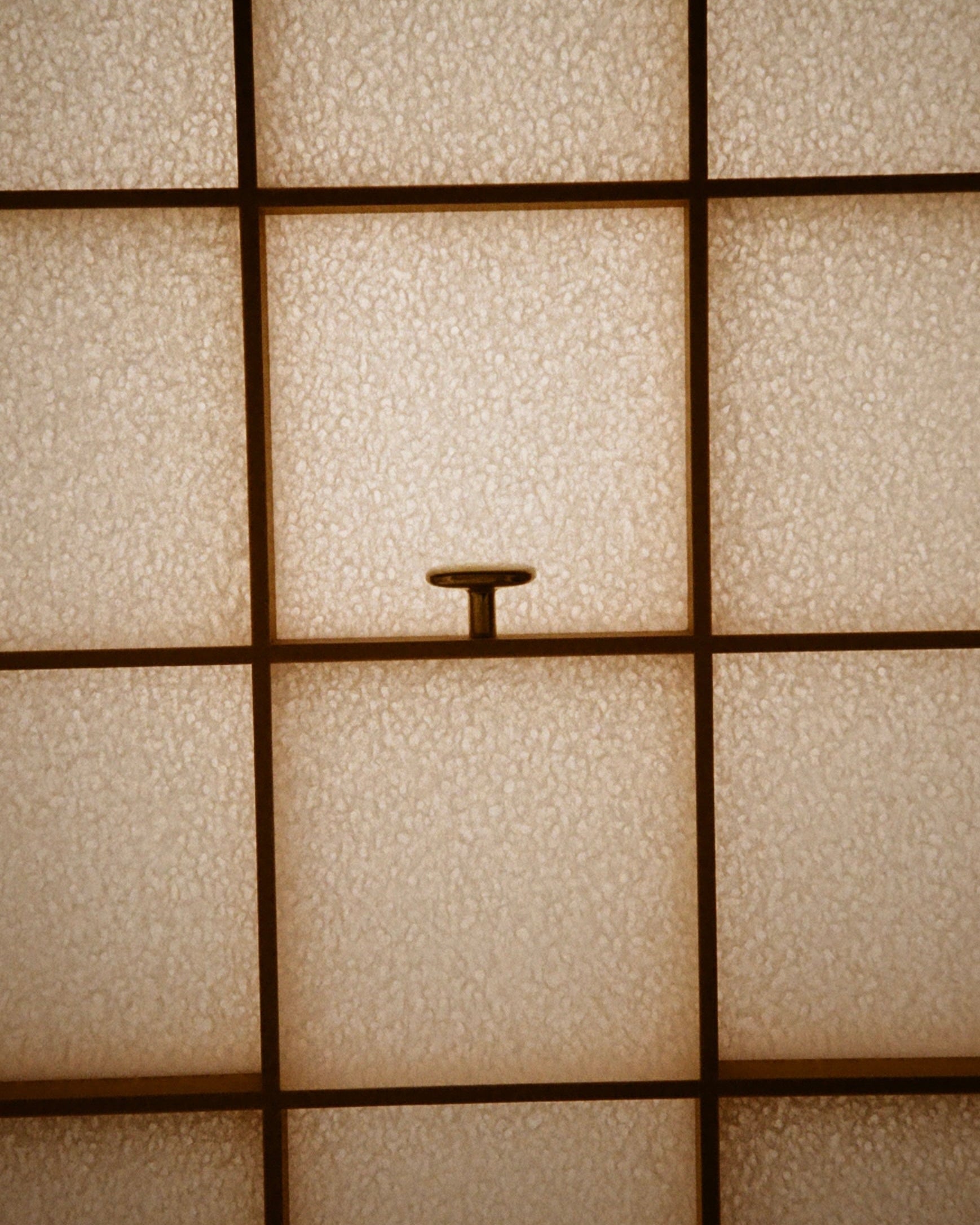 OVAL Cabinet Knob/Wall Hook — close-up of brass knob on textured surface