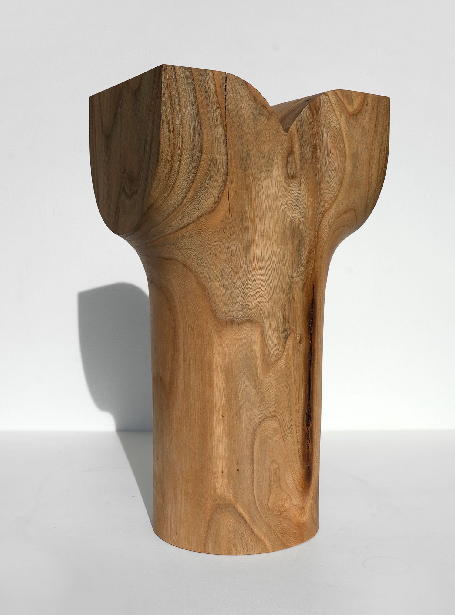 Sculpture from Wood Washed Out by the Sea — close-up