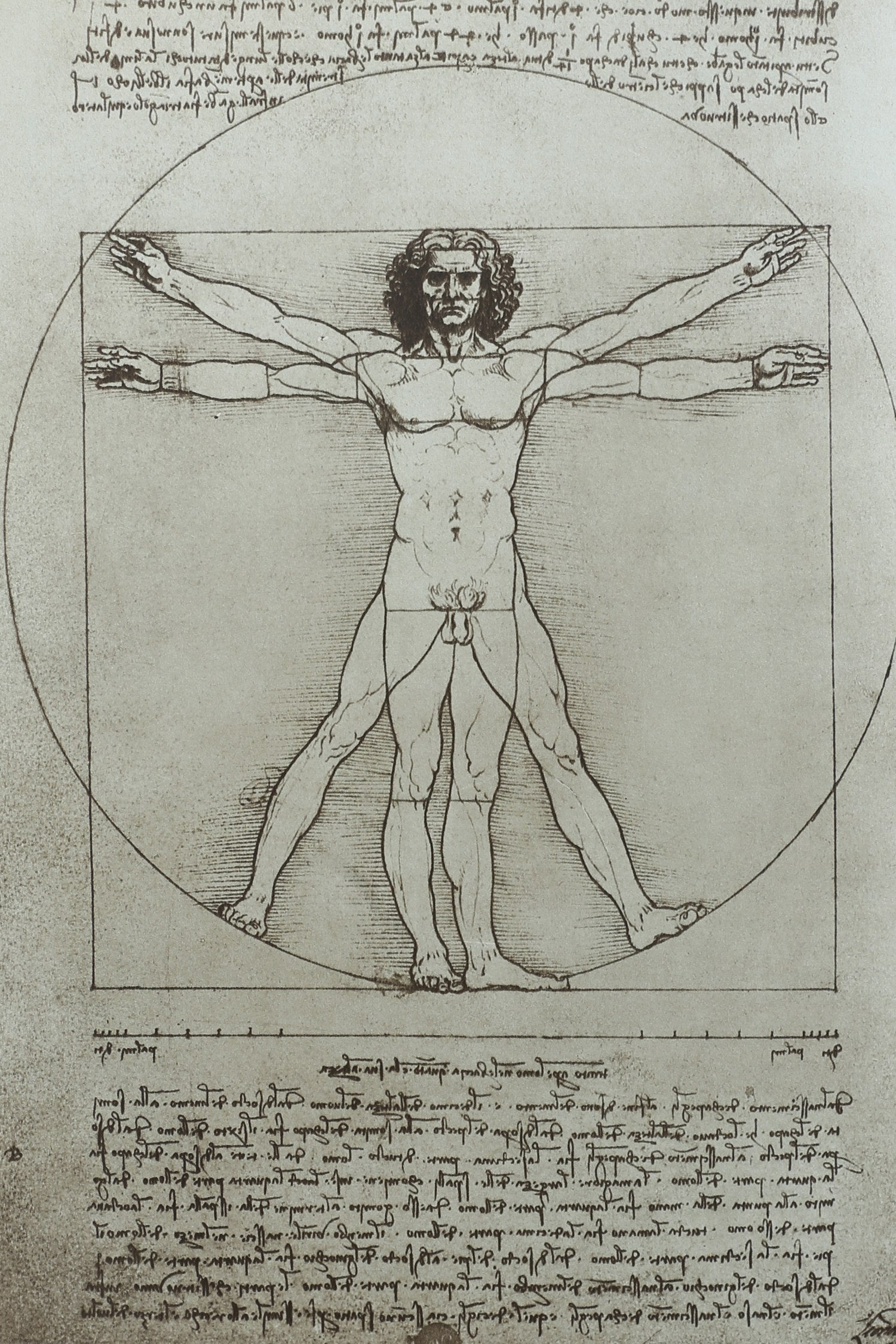 Leonardo da Vinci Book, 1956 — detail view