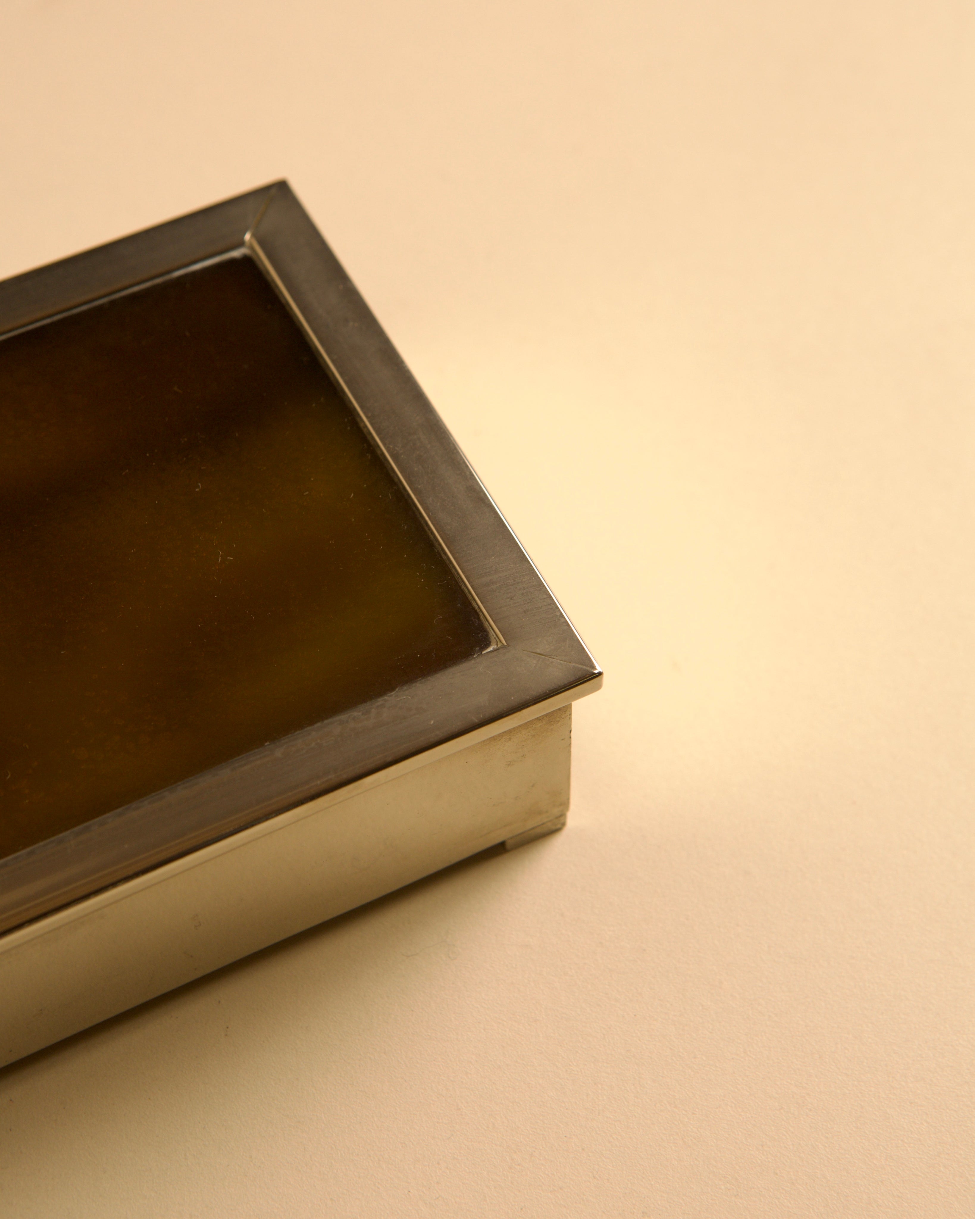 Italian rectangular box in chrome metal, amber faux tortoiseshell lacquer and green velvet — in context