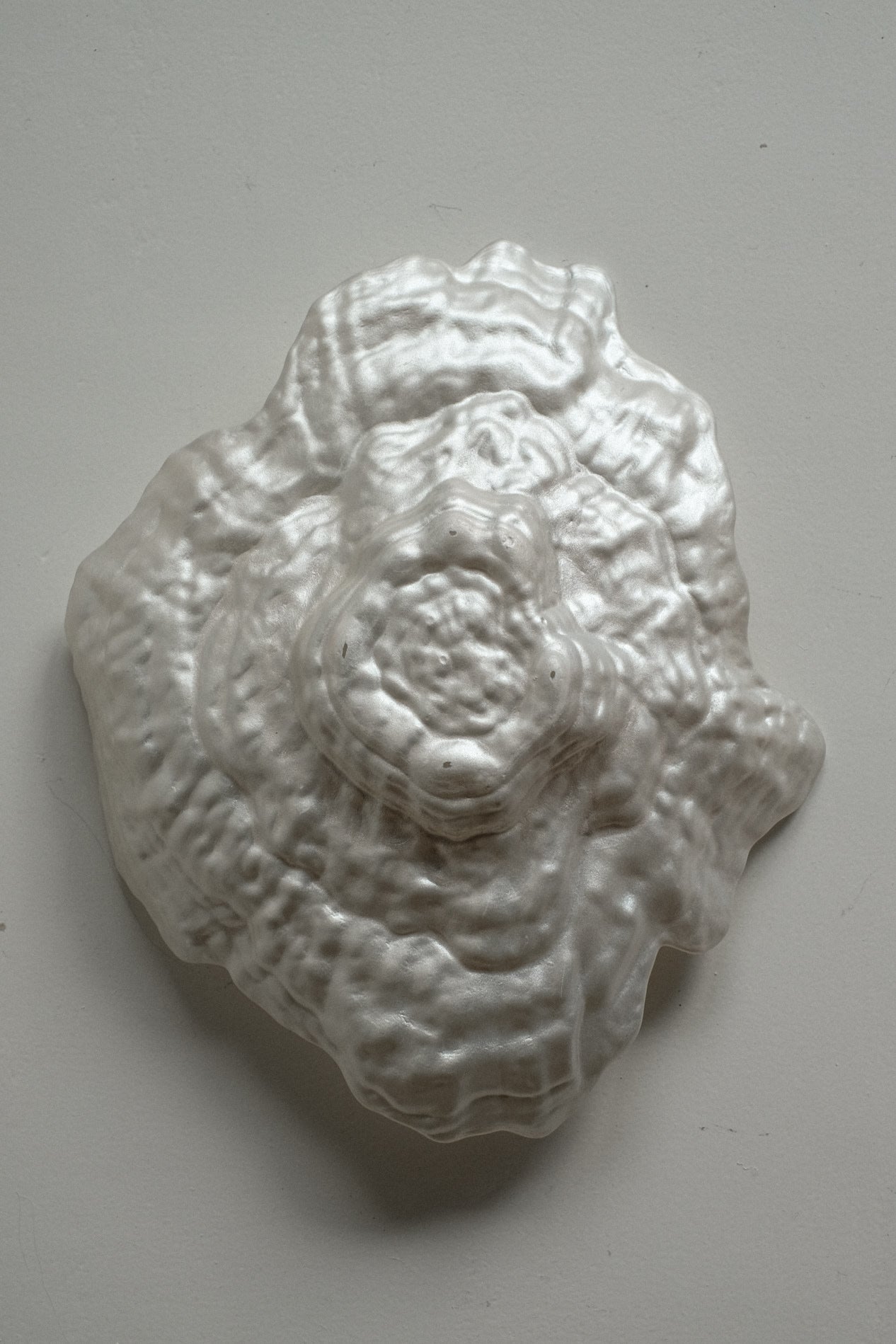 Glass Oyster Shaped Bowl — additional view