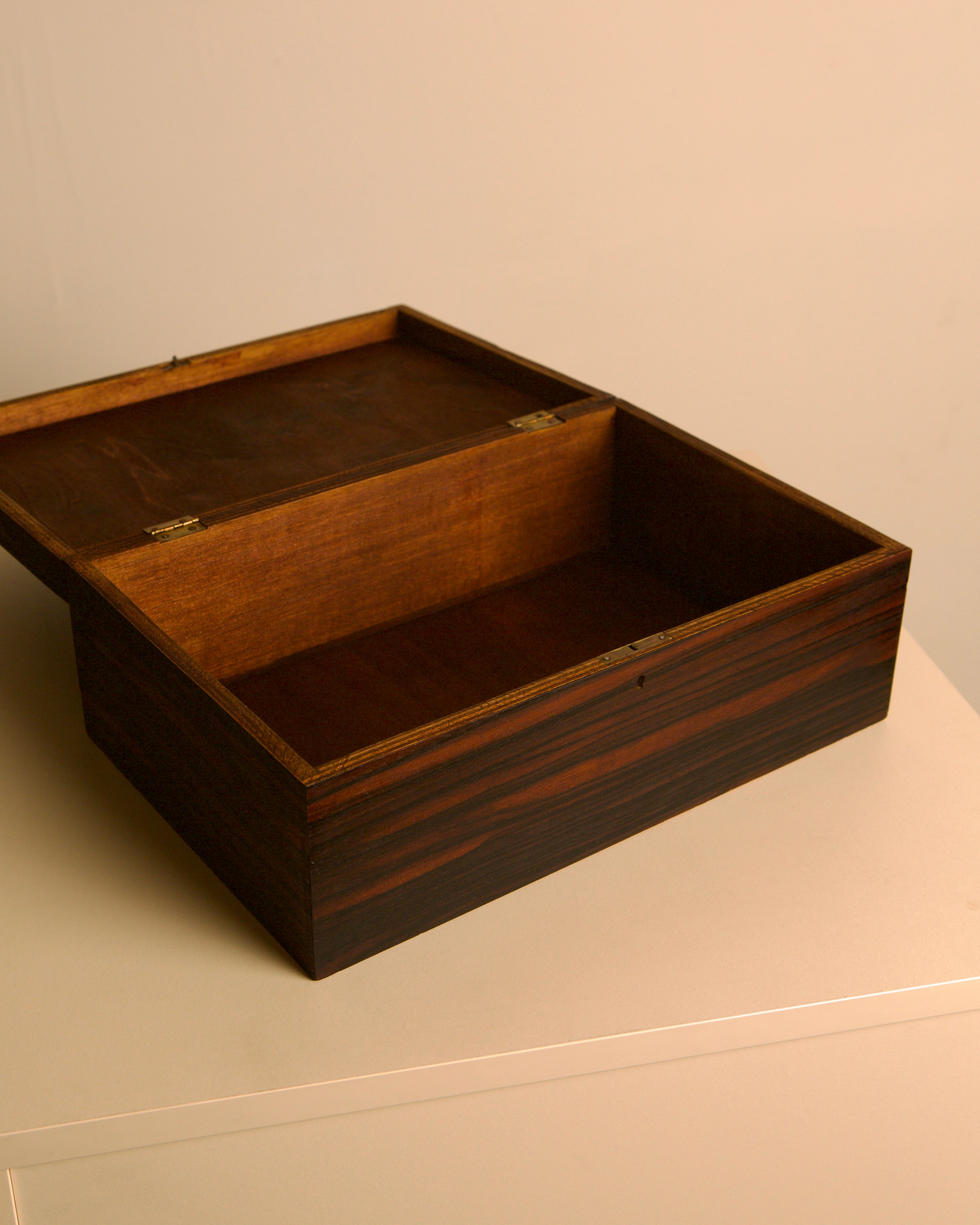 Large Rio rosewood veneer box, Fristho, the Netherlands, 1950s — lifestyle setting