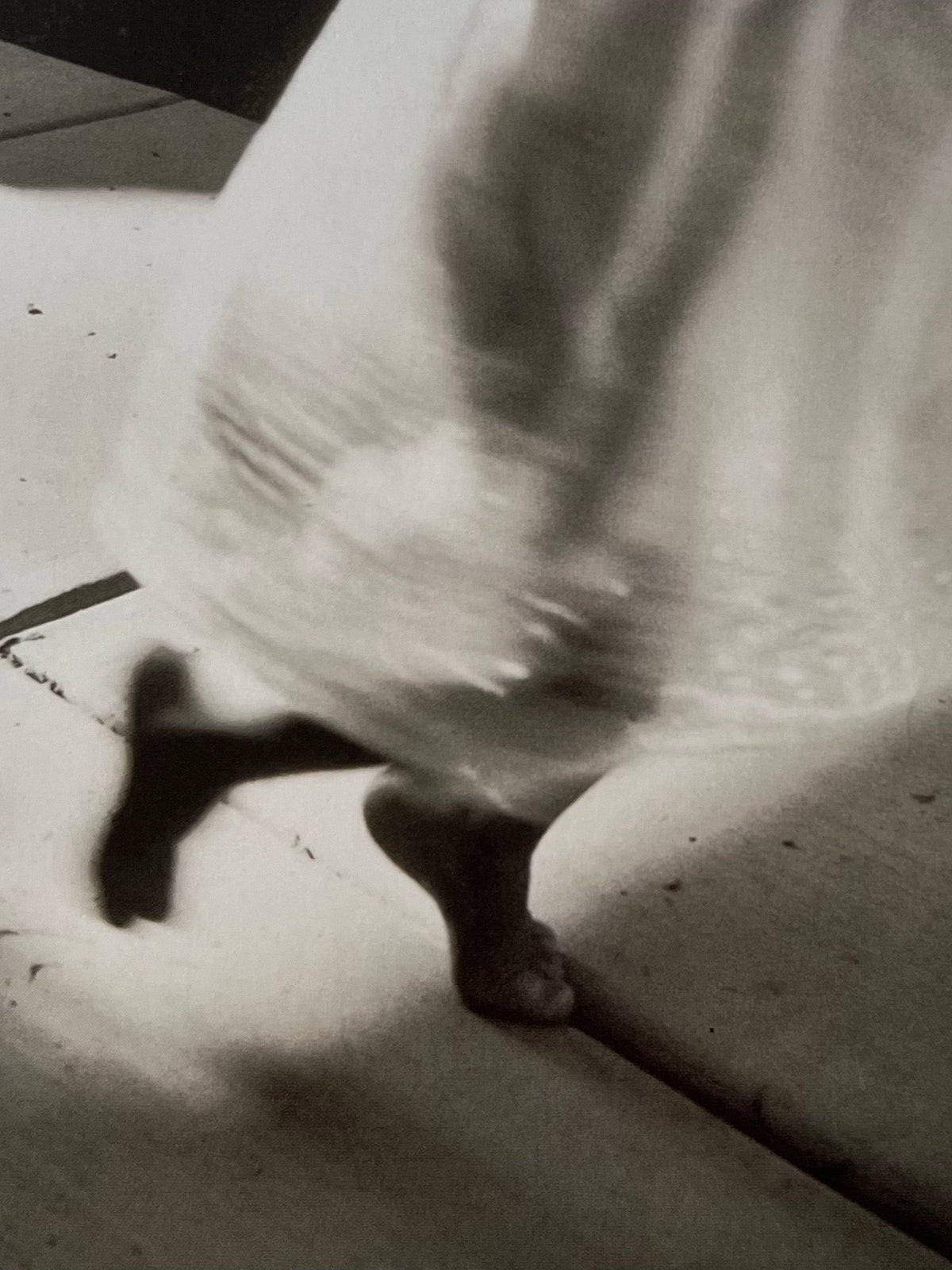Swanstock: Fine Art Photography - Photography Book — close-up