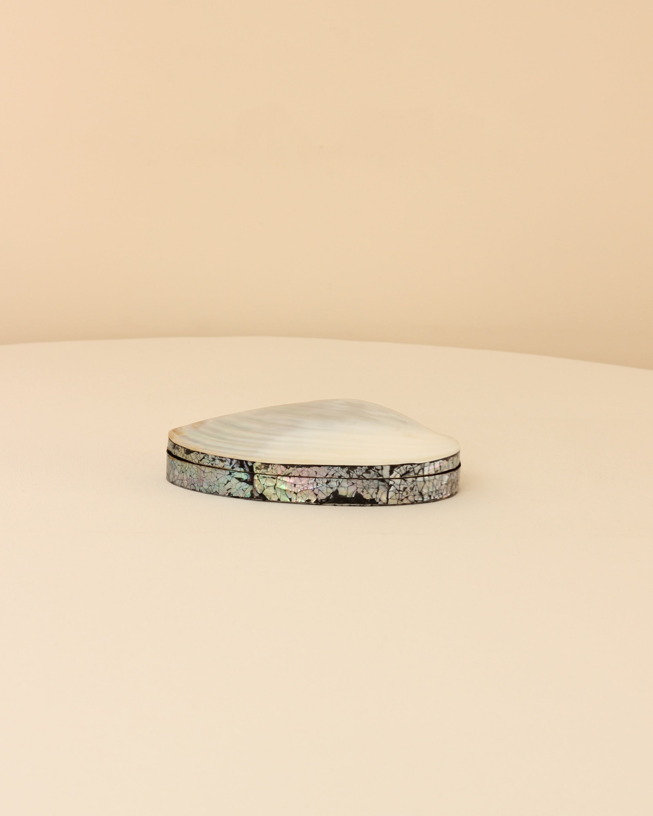Shell Jewelry Box — detail view
