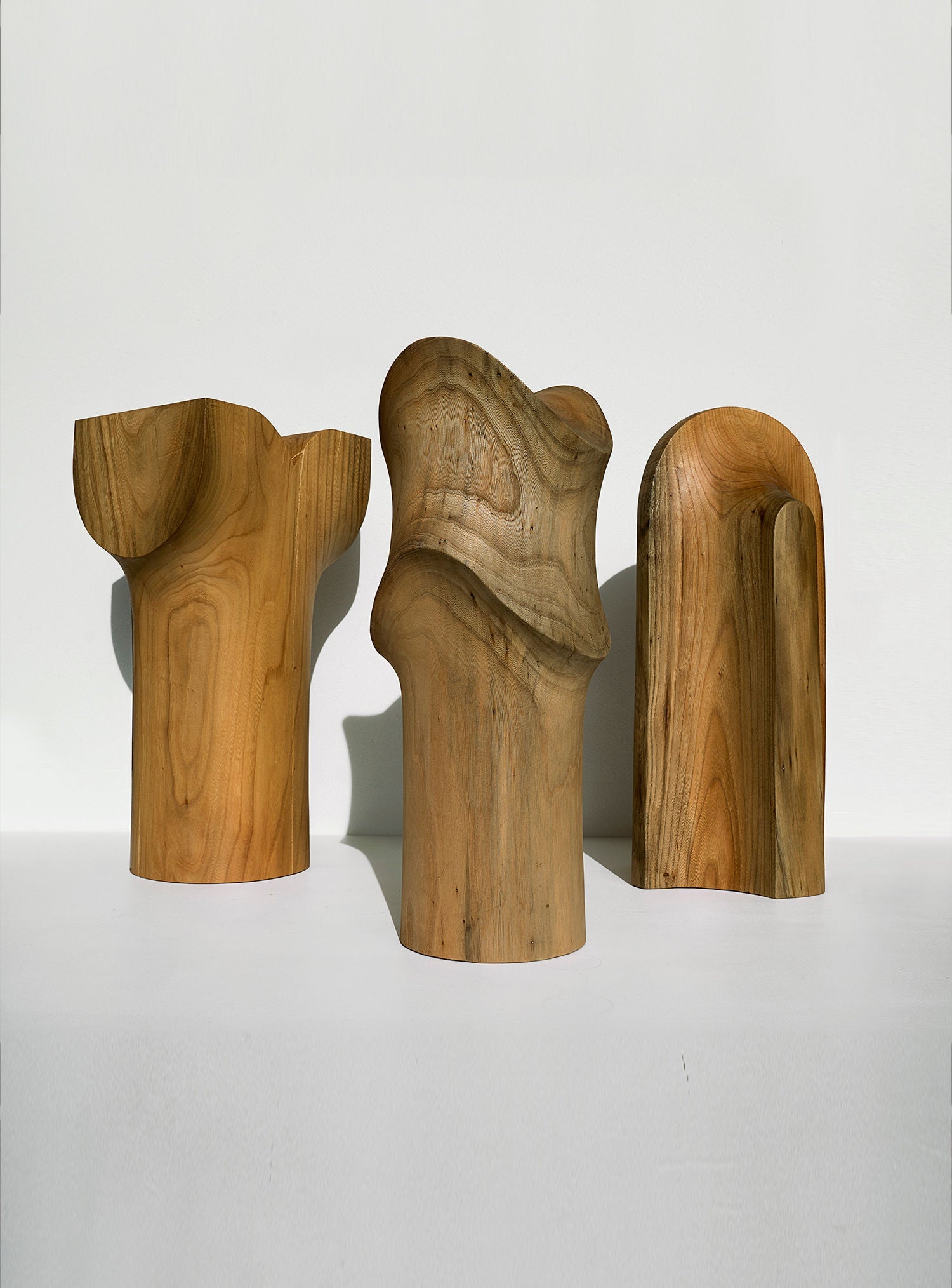 Sculpture from Wood Washed Out by the Sea — lifestyle setting