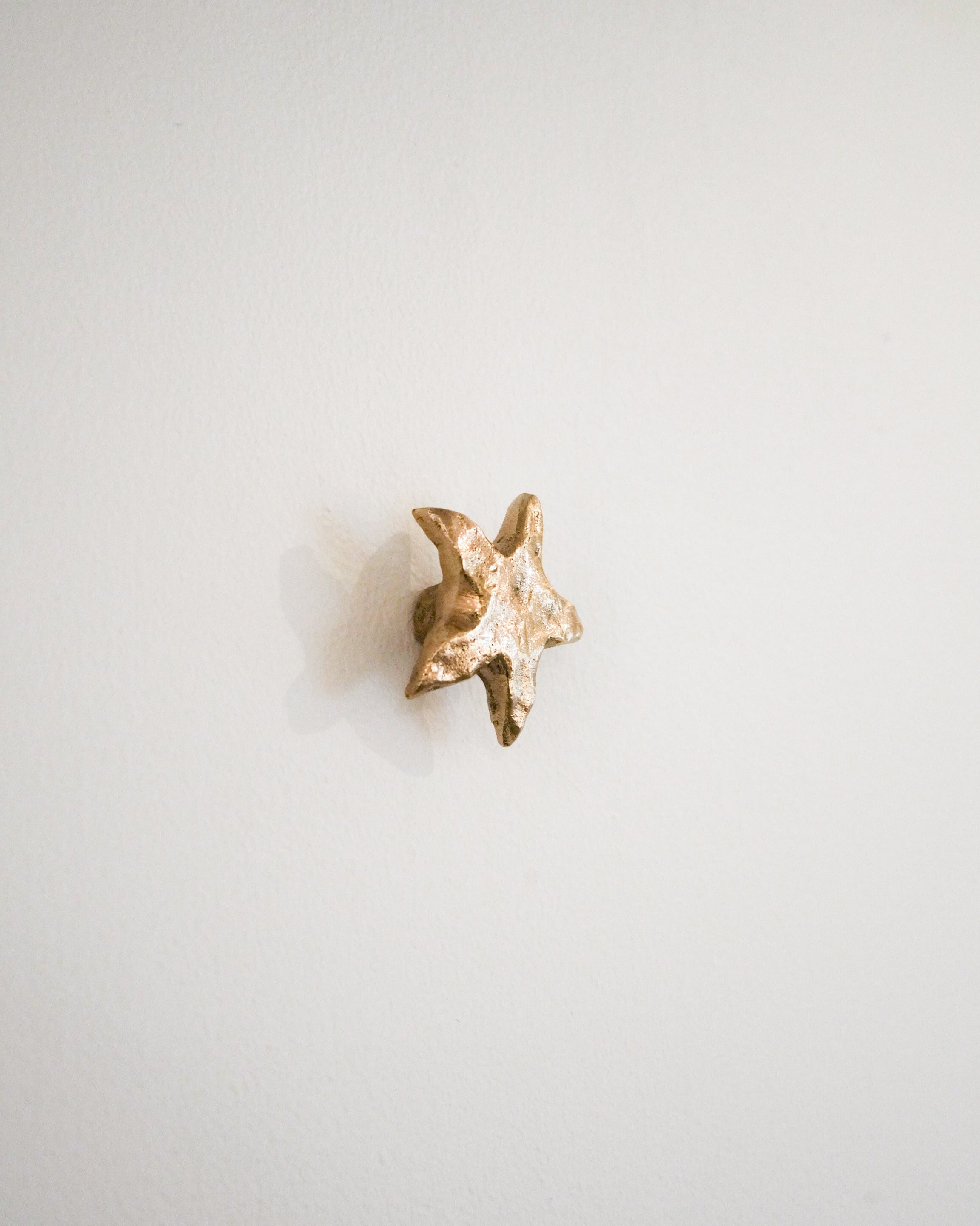 STAR Cabinet Knob/Wall Hook — top view on white wall