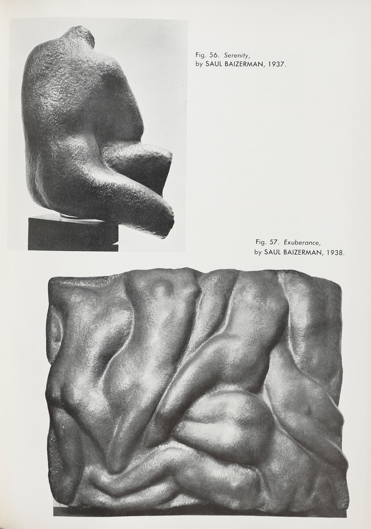 The Modern Renaissance in American Art Book