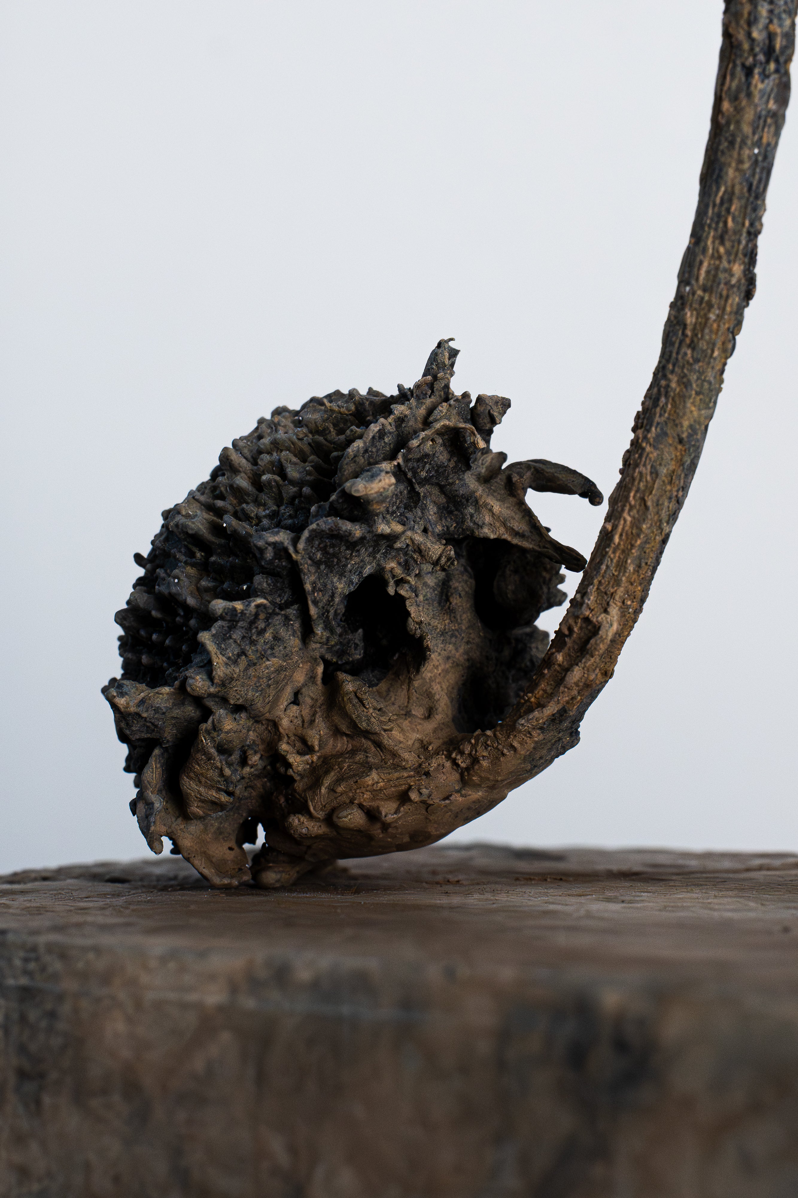 Garden Whistle | Bronze Sculpture