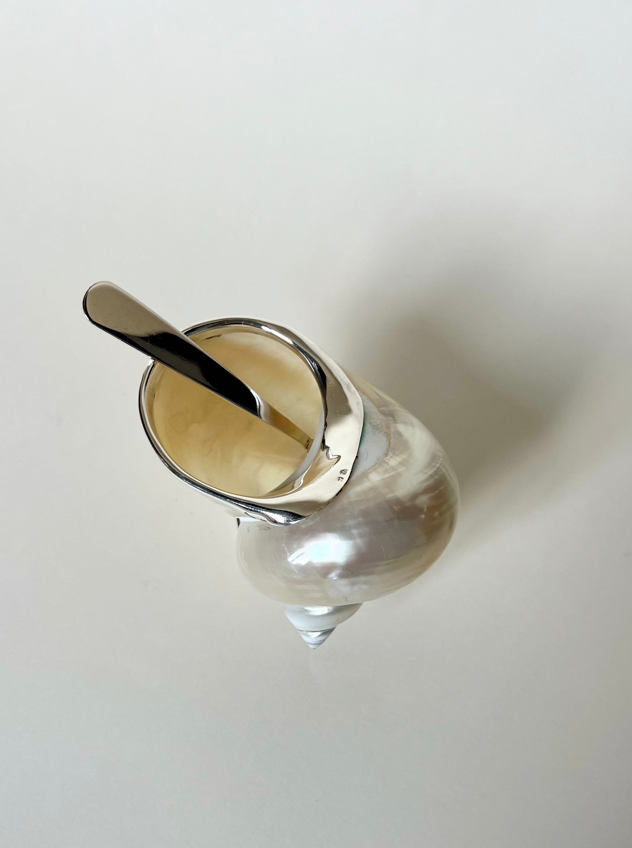 The Tavares 1922 Shell Sugar Bowl features a silver spoon resting inside its shiny shell-shaped container filled with sugar, creating an elegant tabletop accent on a plain white surface.
