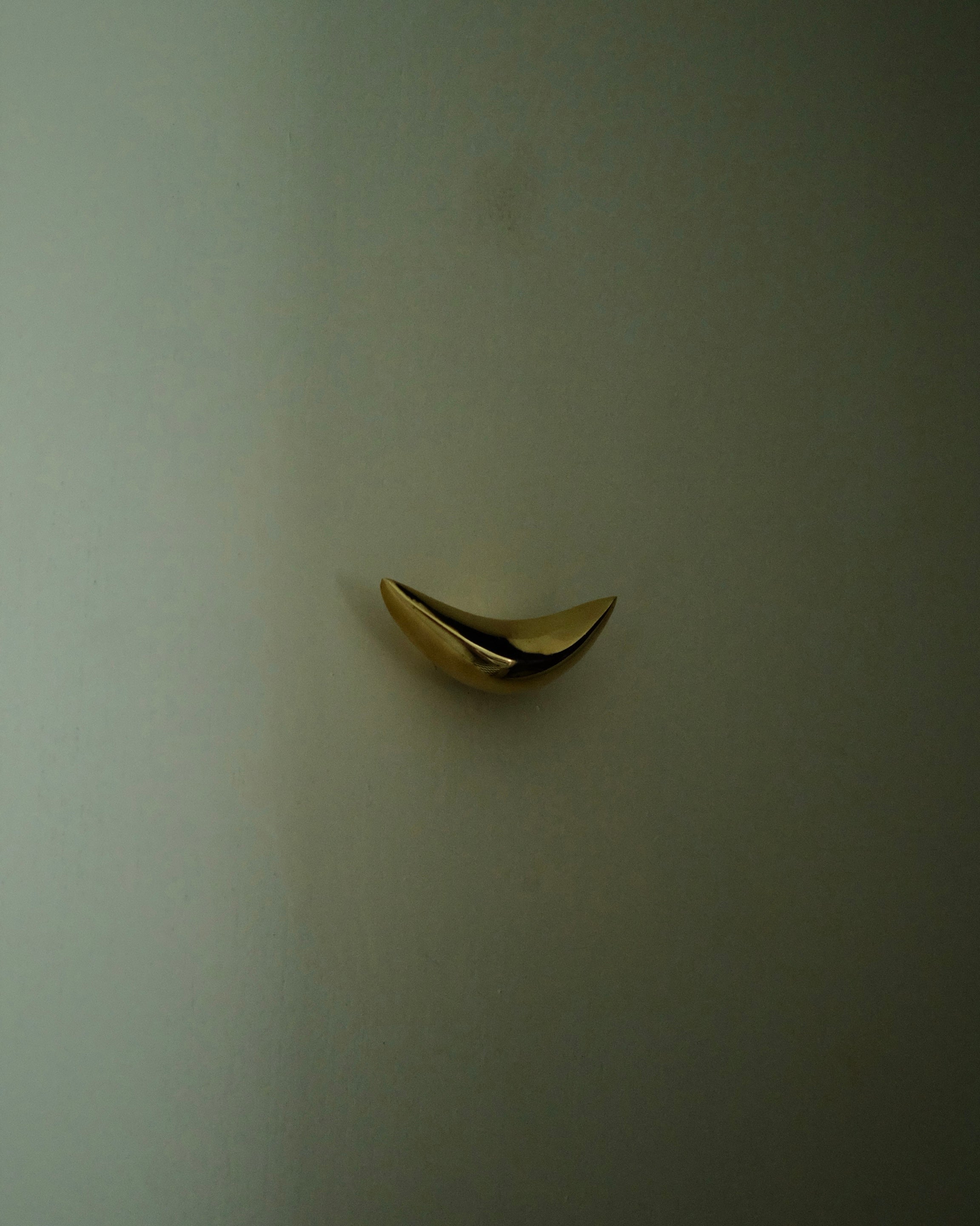 PETAL Knob/Hook — side view of polished brass against wall