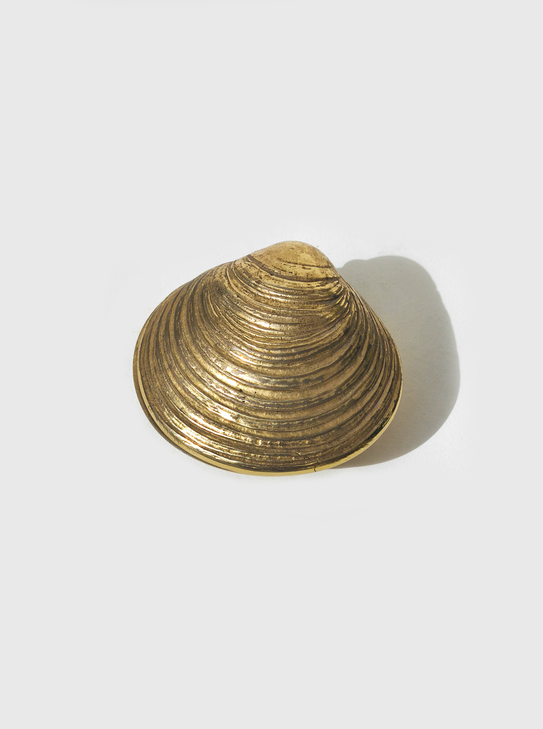 Shell Brass Box — top view of textured brass surface