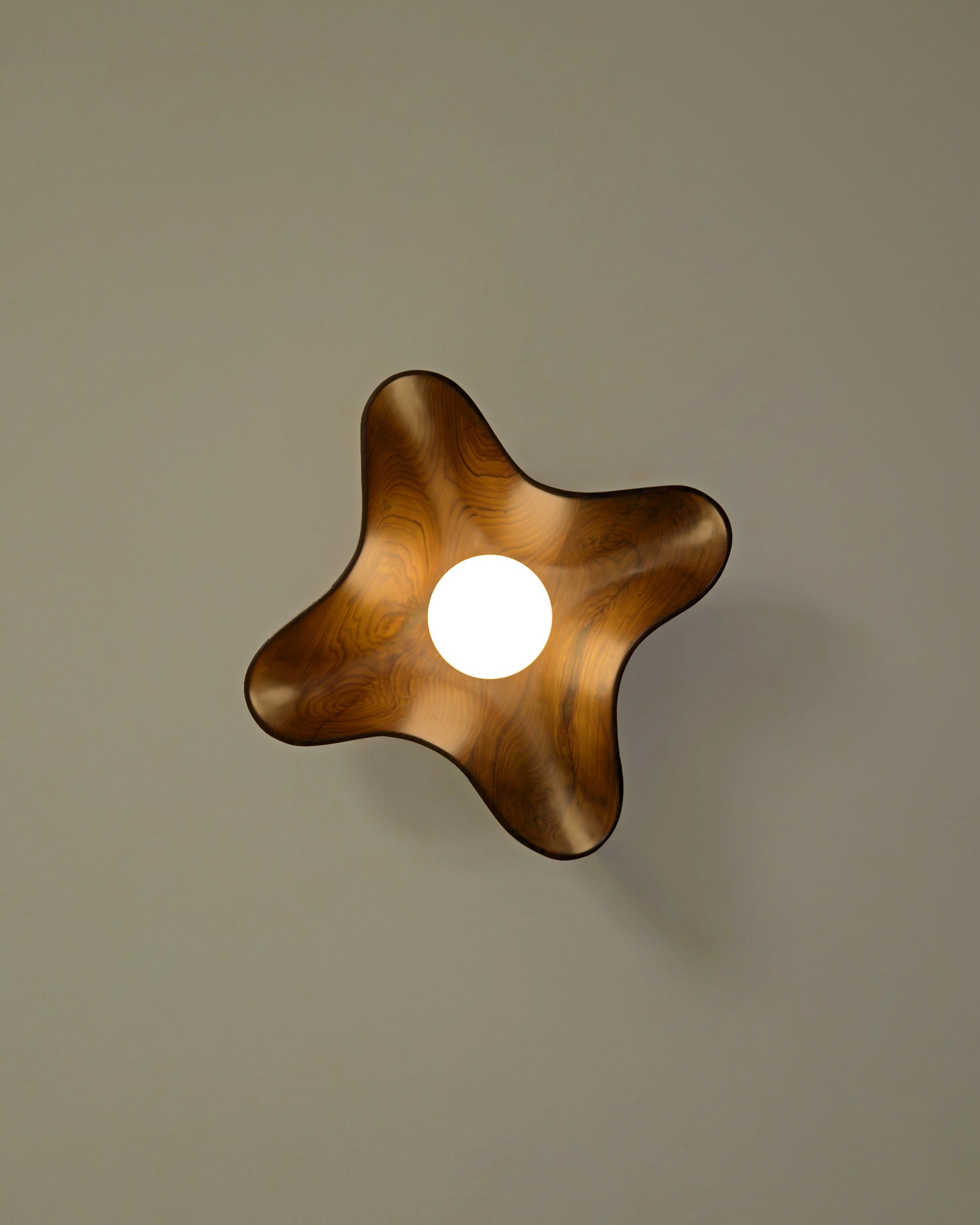Compass Globe Wall Light — back view showing wooden design and light source
