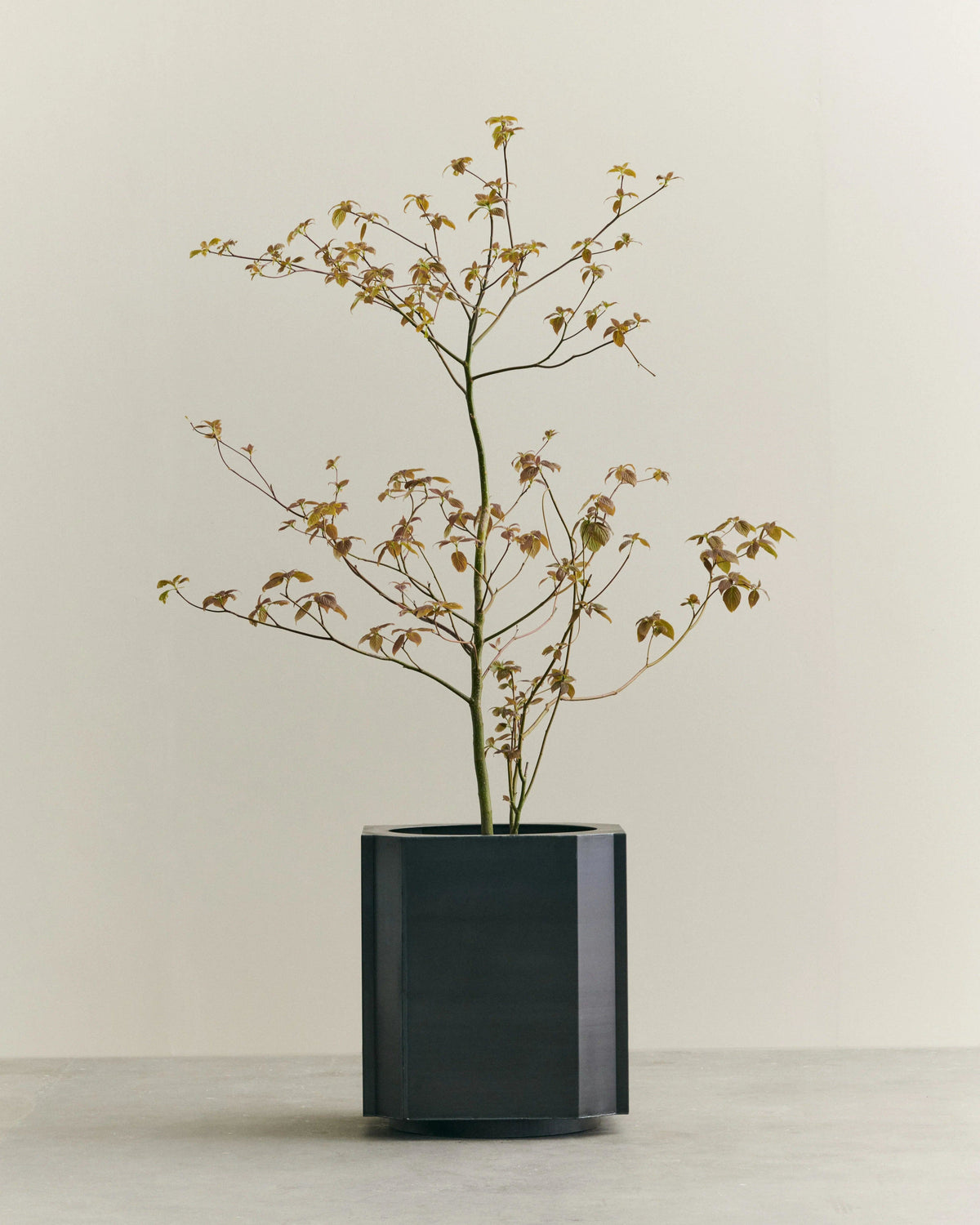 FUNKI POT X-LARGE — lifestyle setting