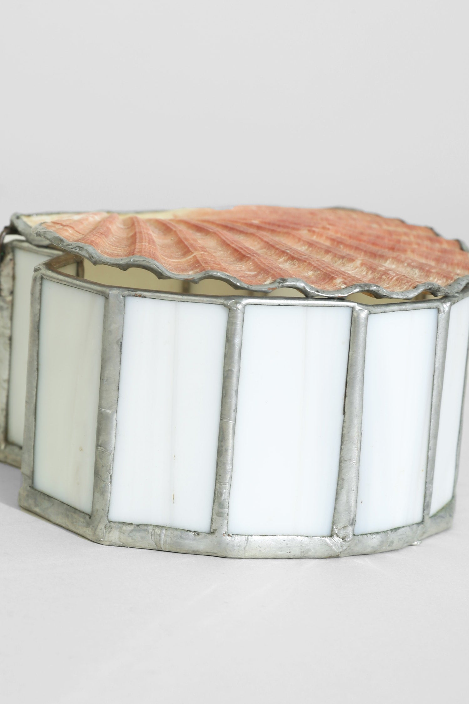 Scallop Shell Jewelry Box — detail view