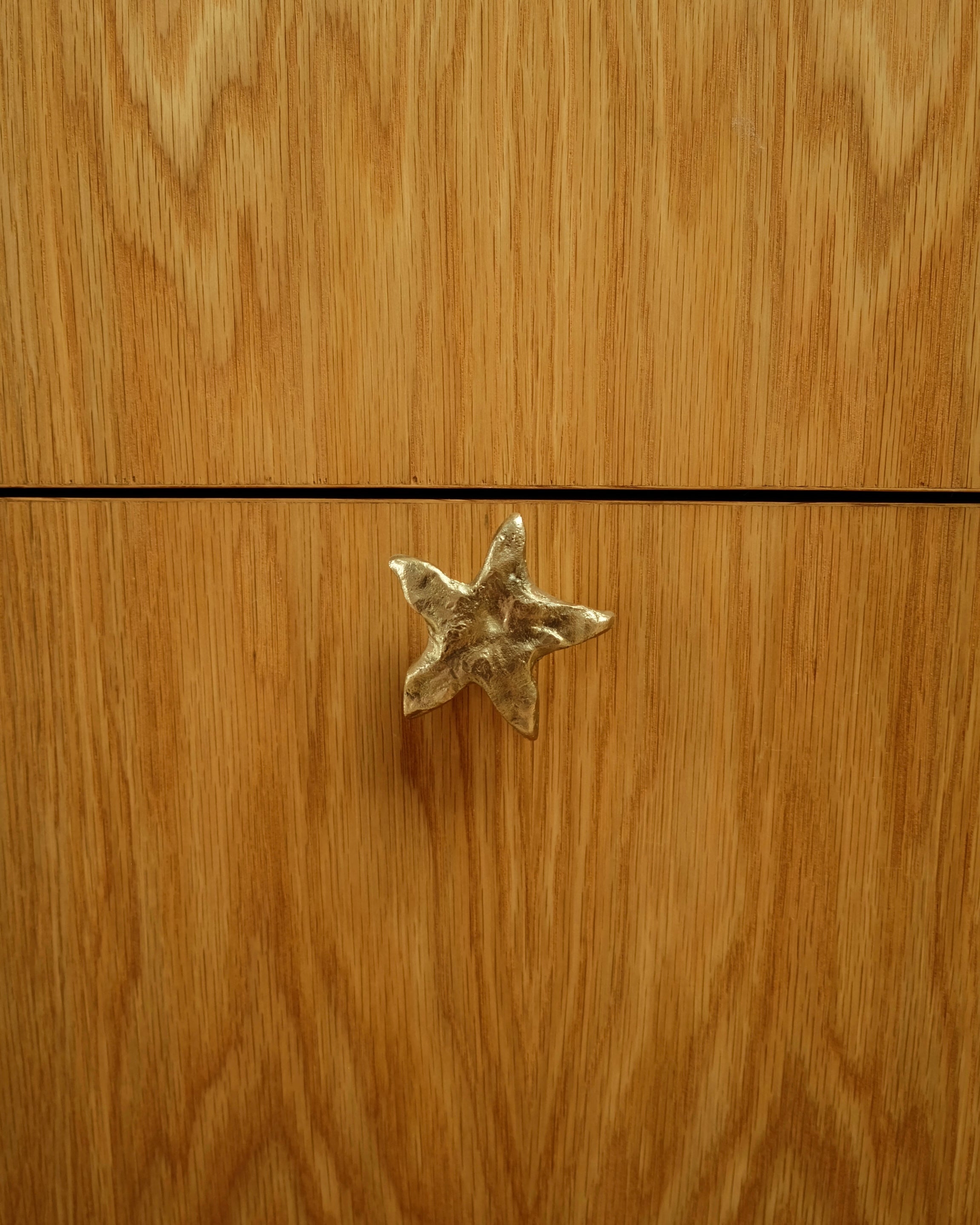 STAR Cabinet Knob/Wall Hook — close-up of textured metallic star shape